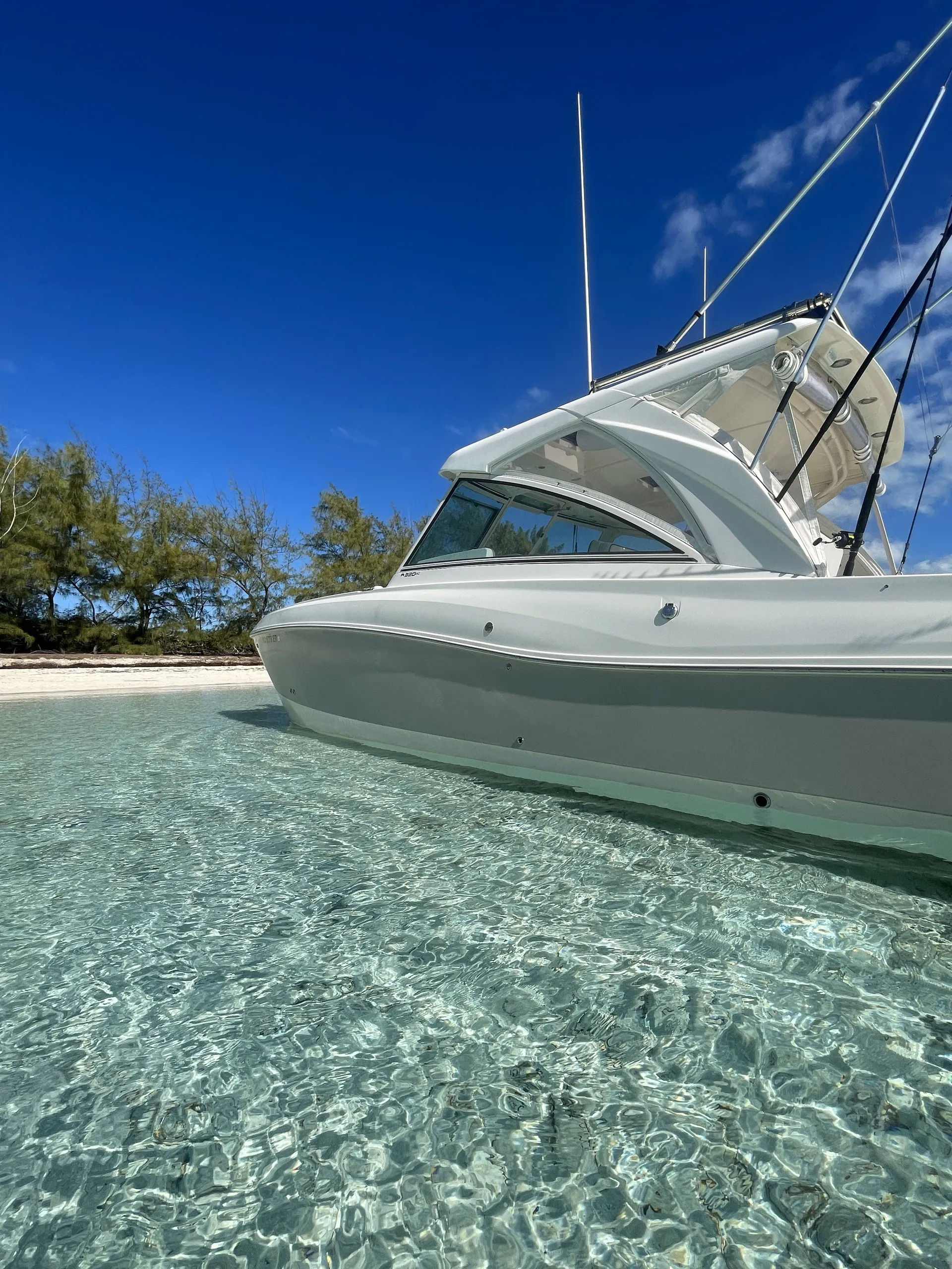 A Floating Living Room With Cat Stability and Comfort
