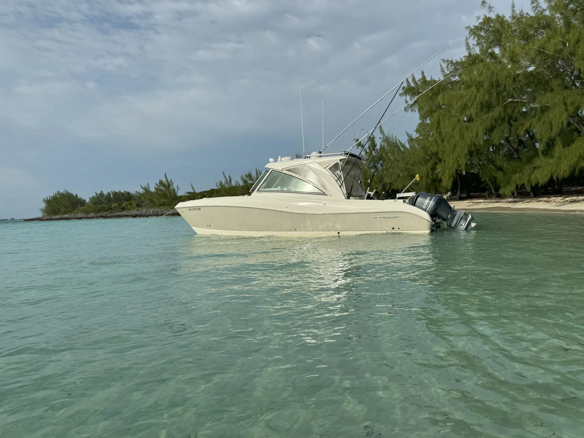 A Floating Living Room With Cat Stability and Comfort
