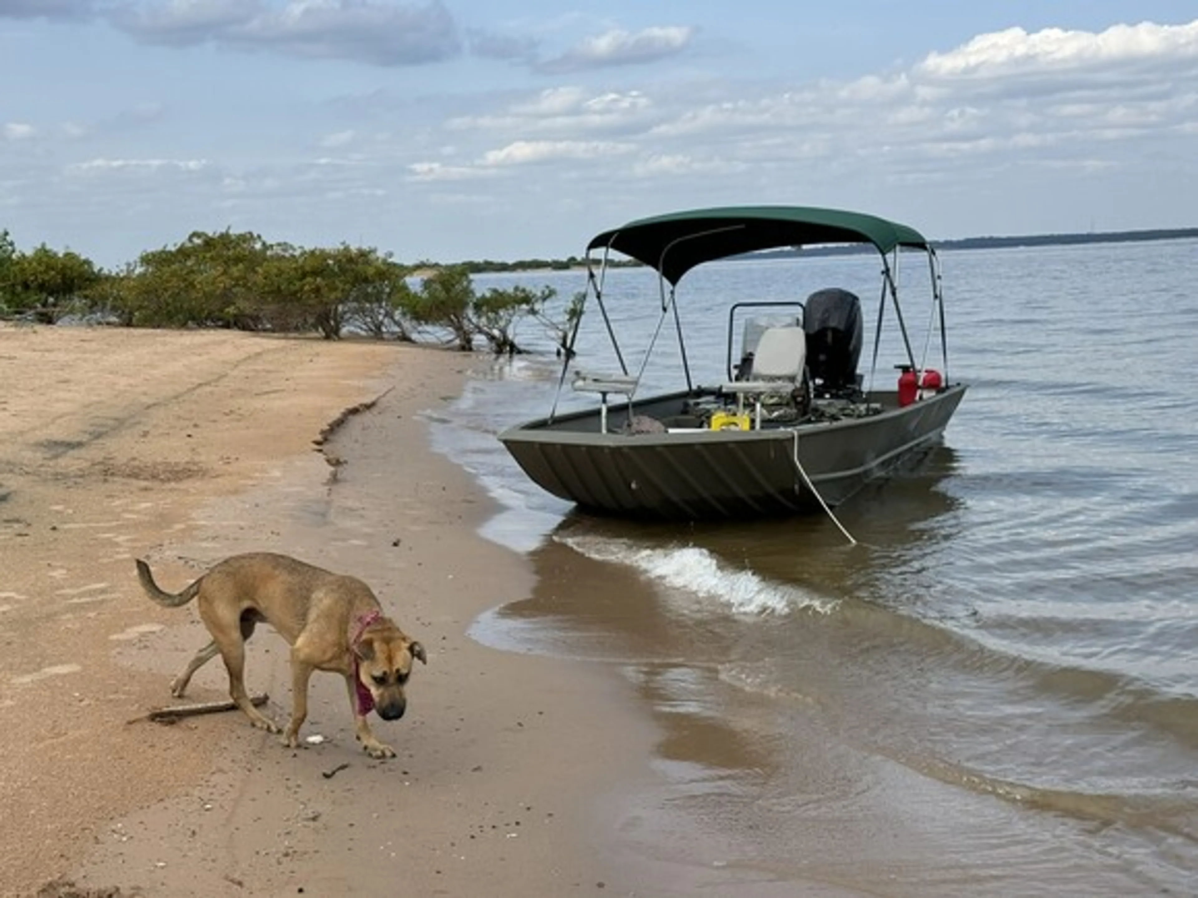 boat