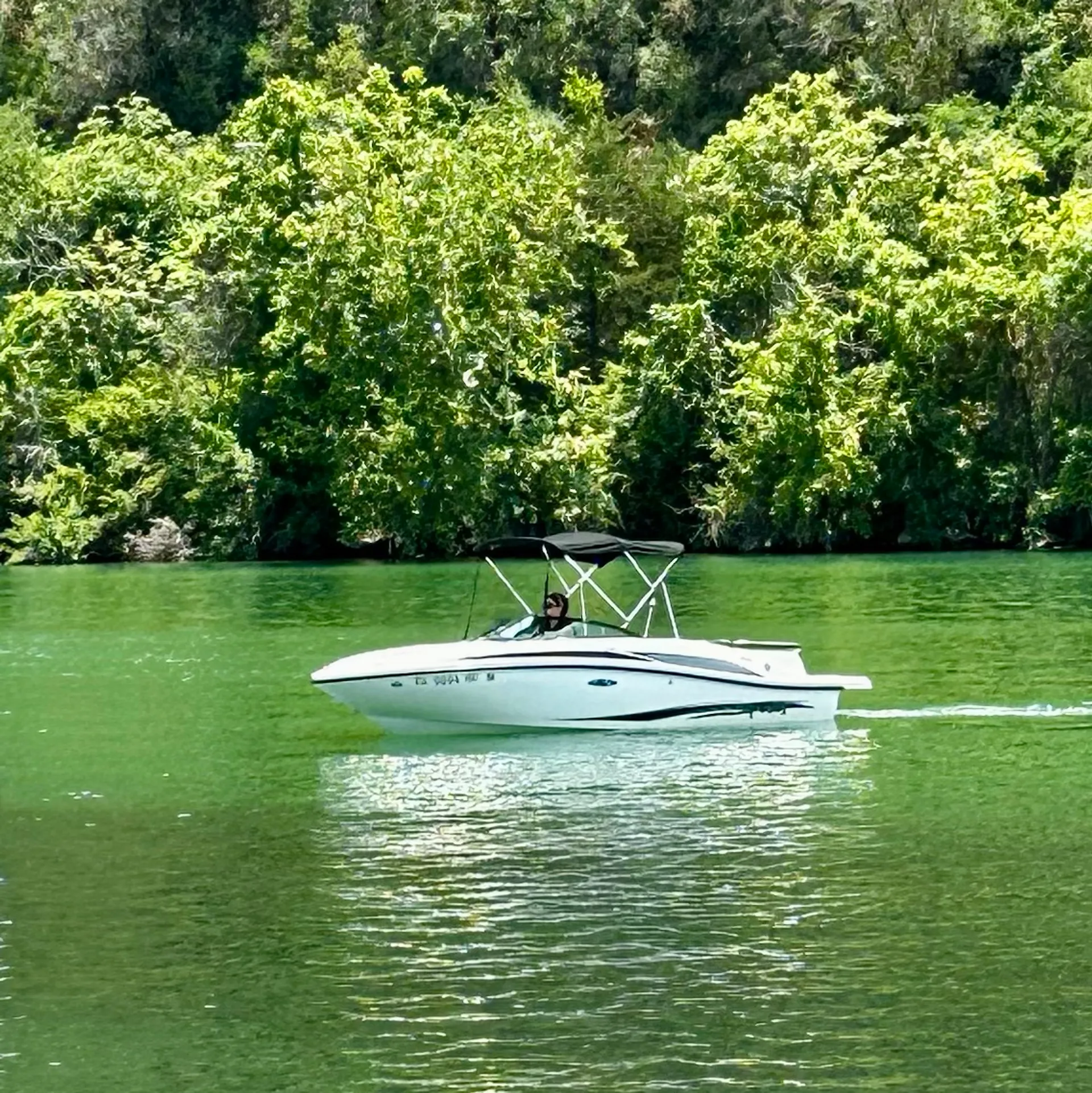 SEA RAY BOATS 185 SPORT BR  in Montgomery, TX — photo 9
