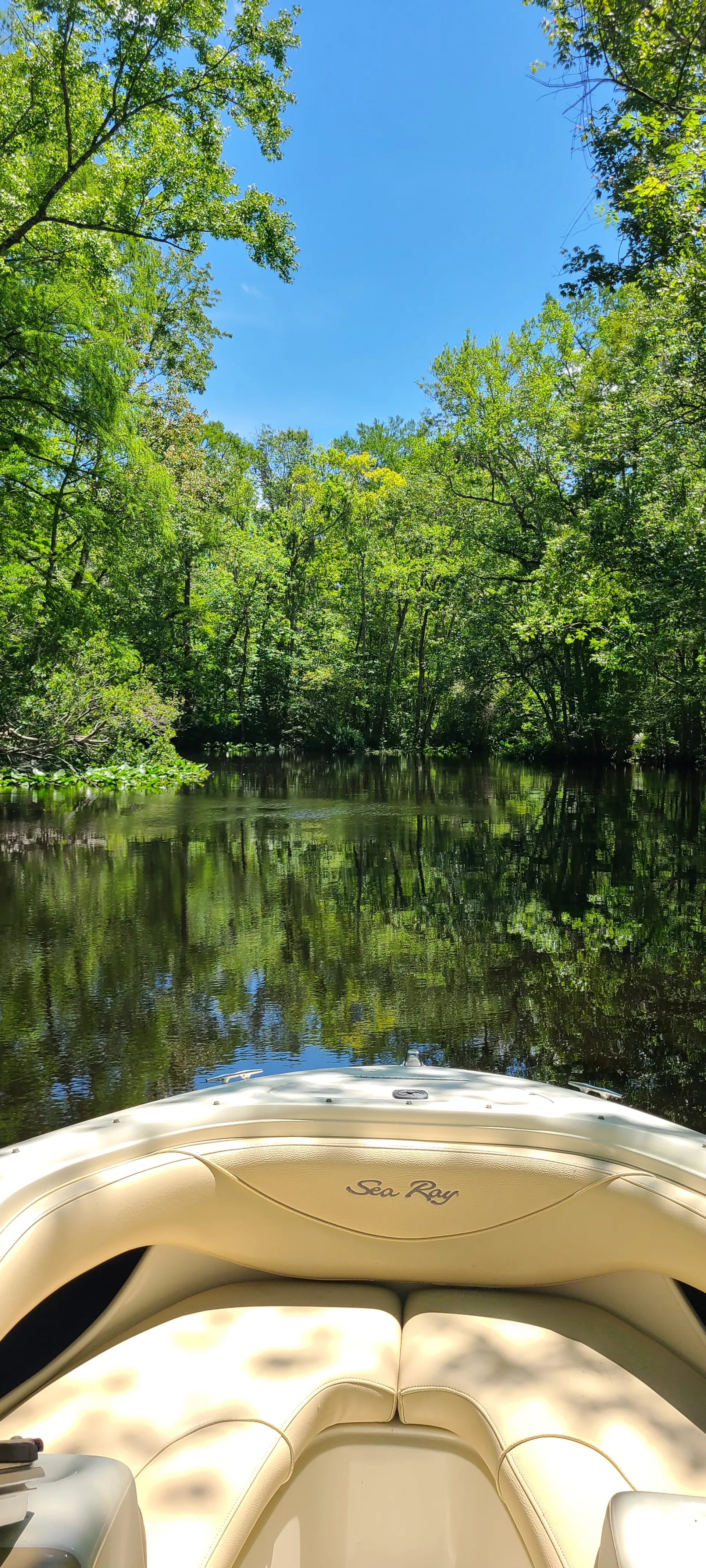 Sea Ray 190 Signature Bow Rider – Fast, Clean & Ready to Ride!