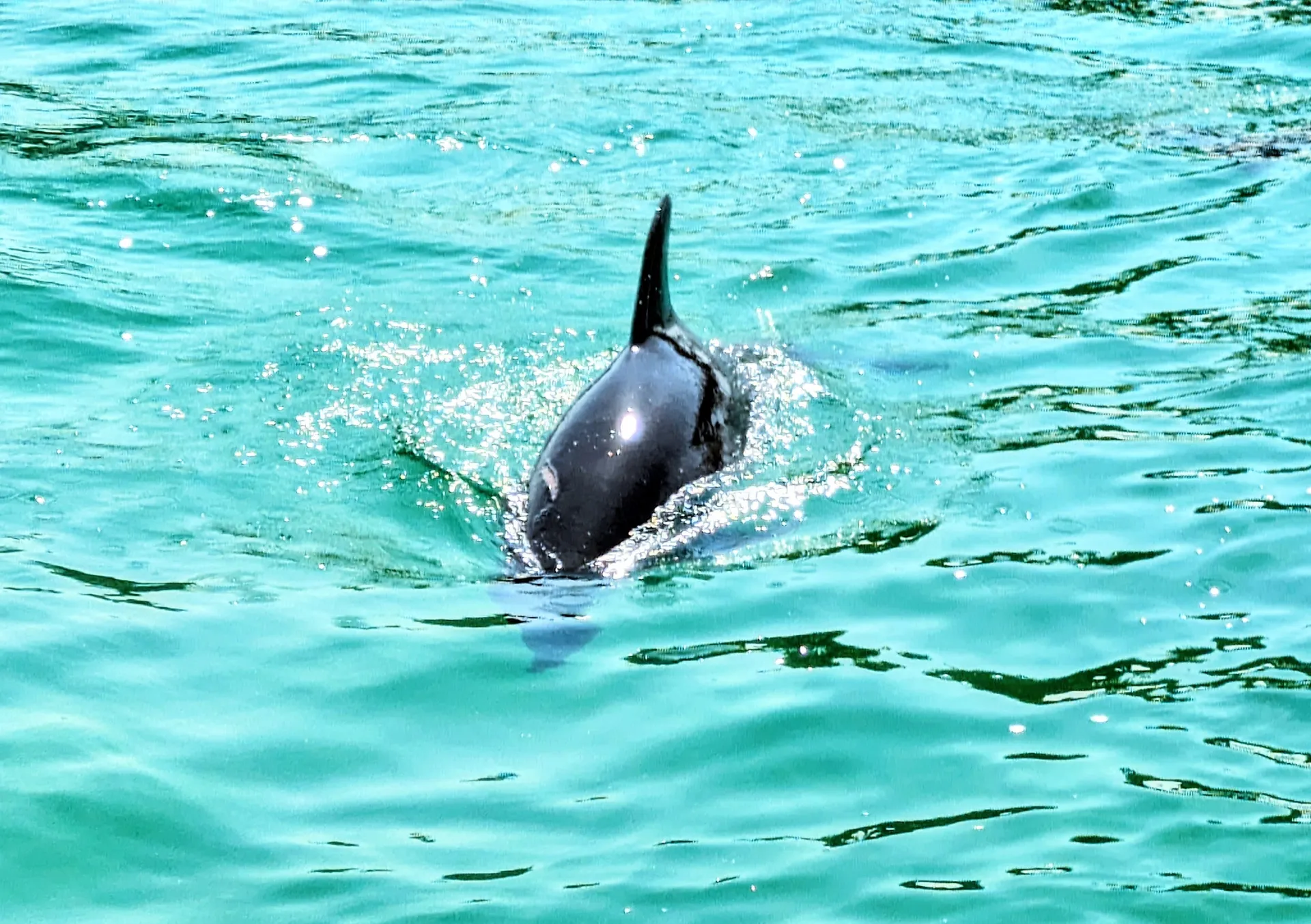Captained Charter Pontoon Rental