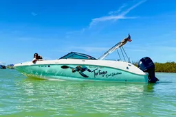 Tortuga Boat Adventures