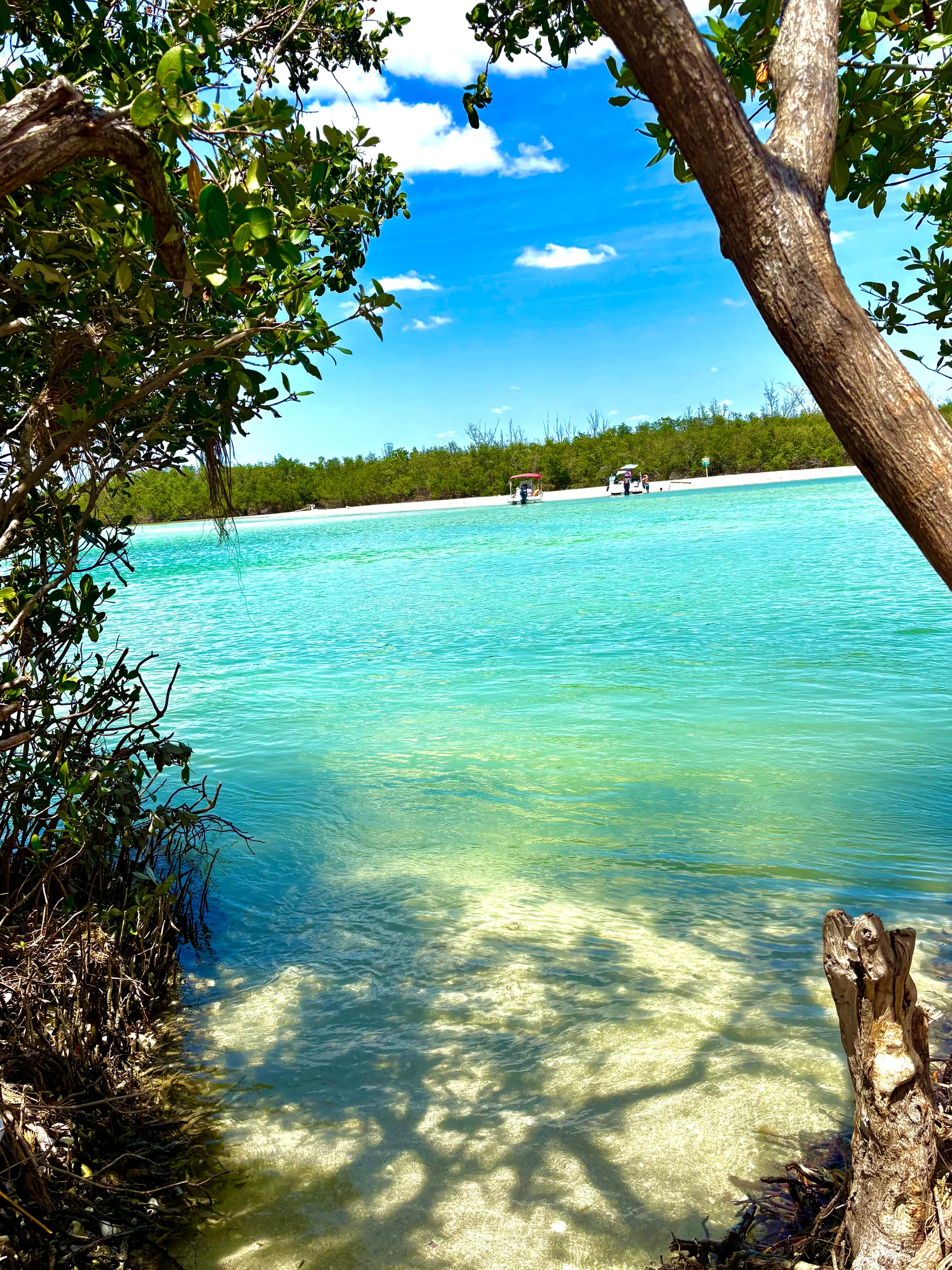 Tortuga Boat Adventures