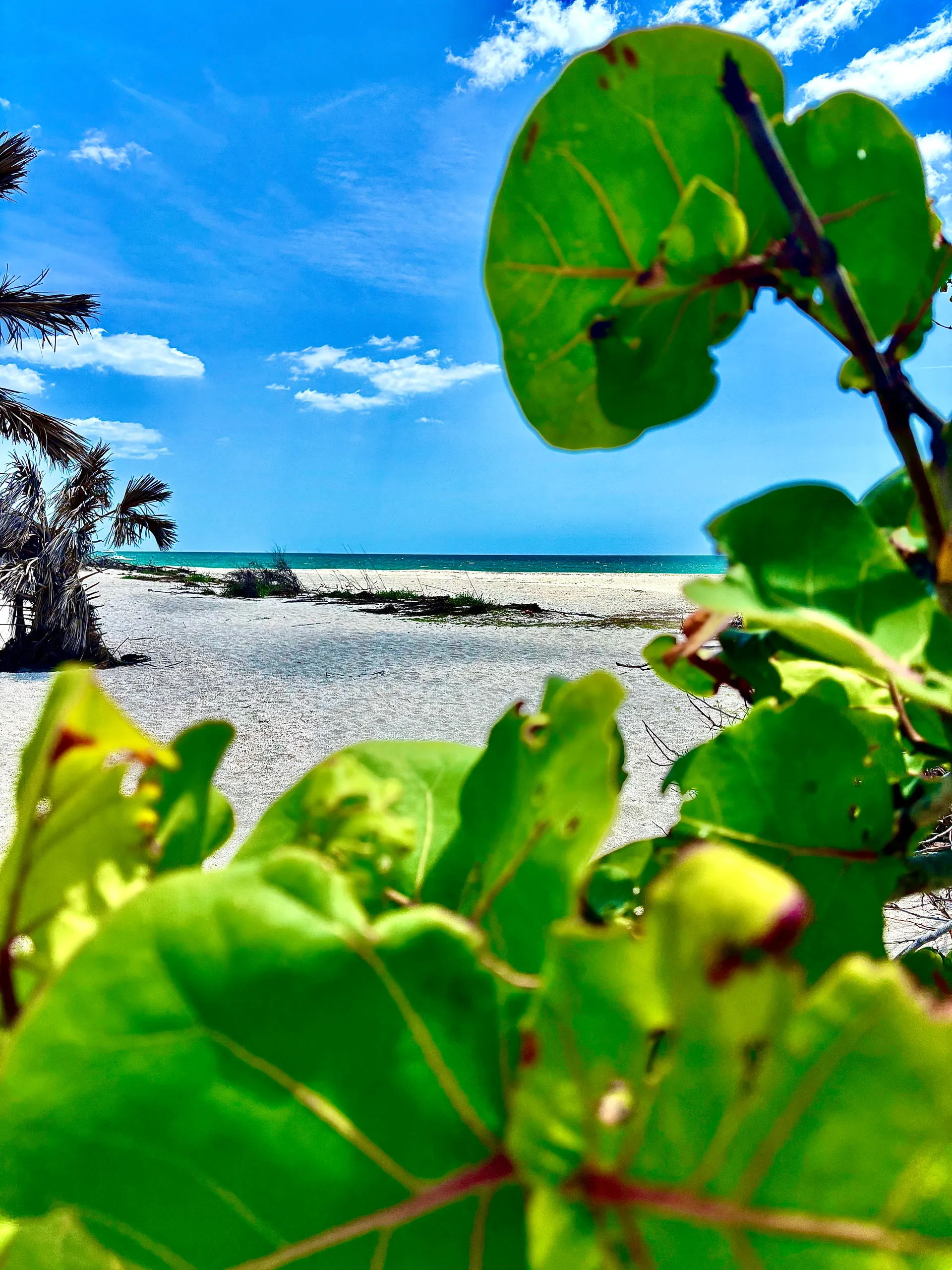 Tortuga Boat Adventures