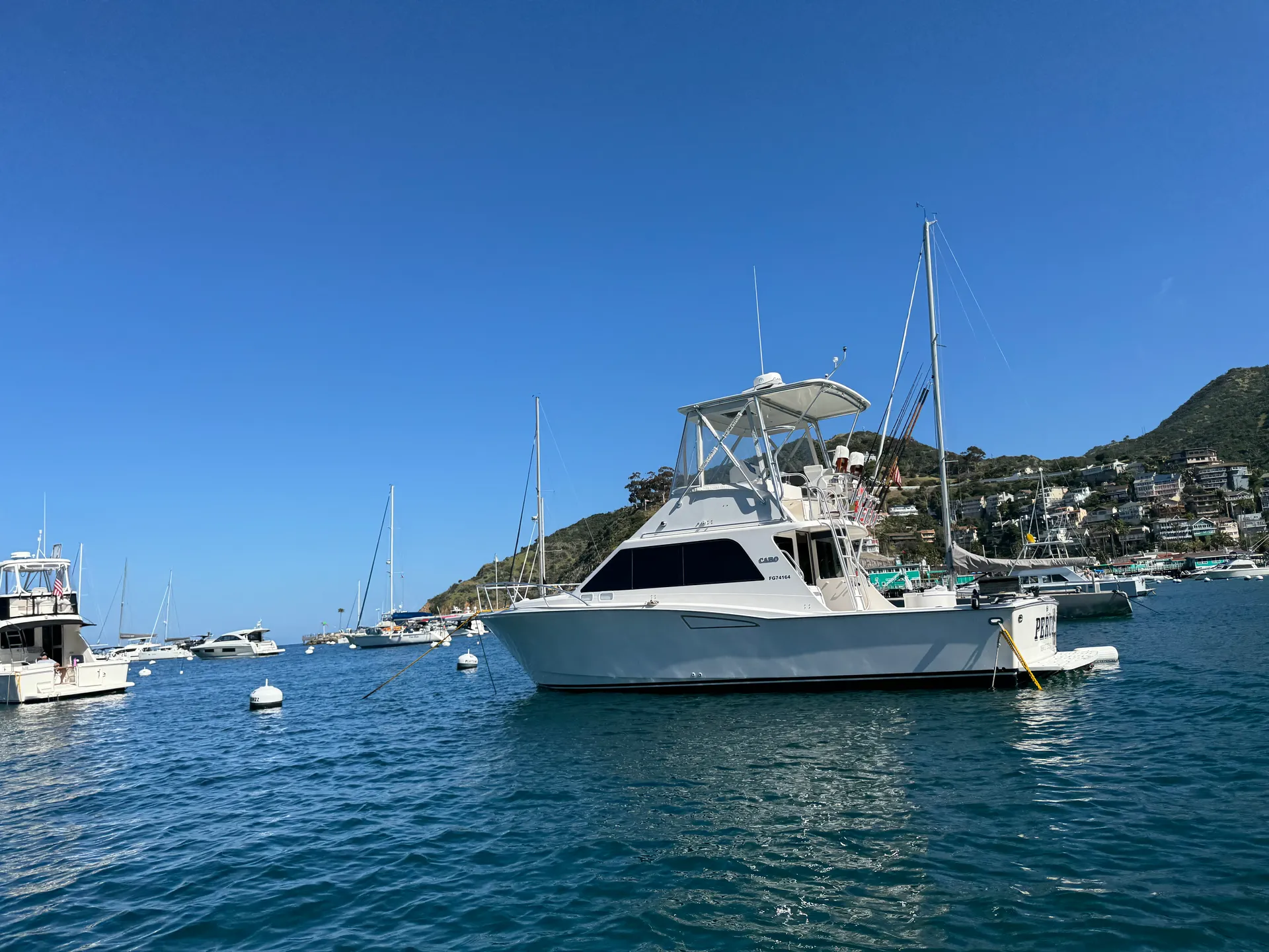 Luxury Cabo 35 Flybridge Charter - All Inclusive