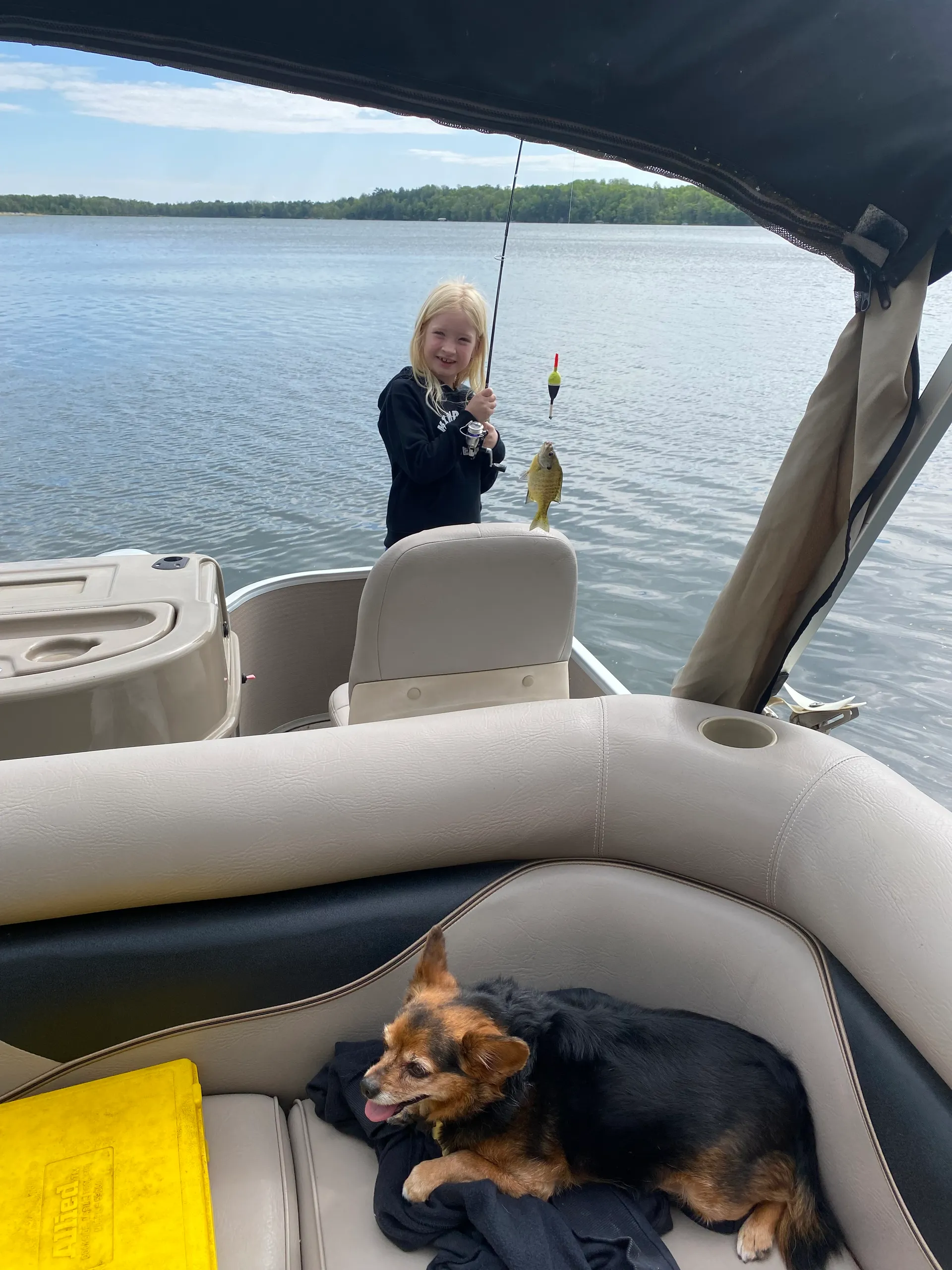 22 ft pontoon fishing boat on semi private lake