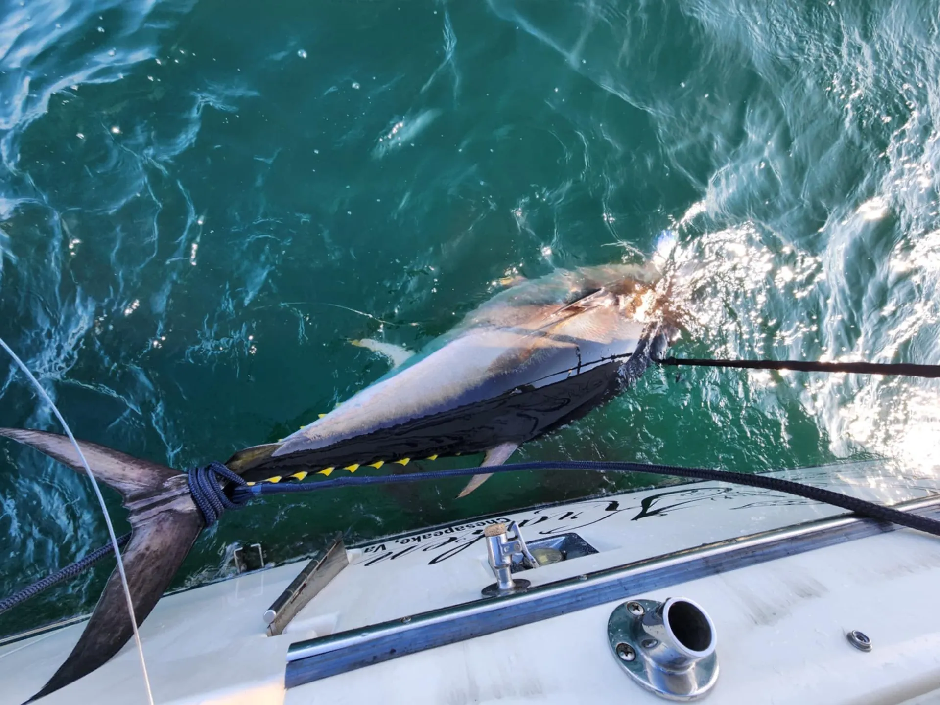 Custom Party Cruises & Fishing Trips in Virginia Beach