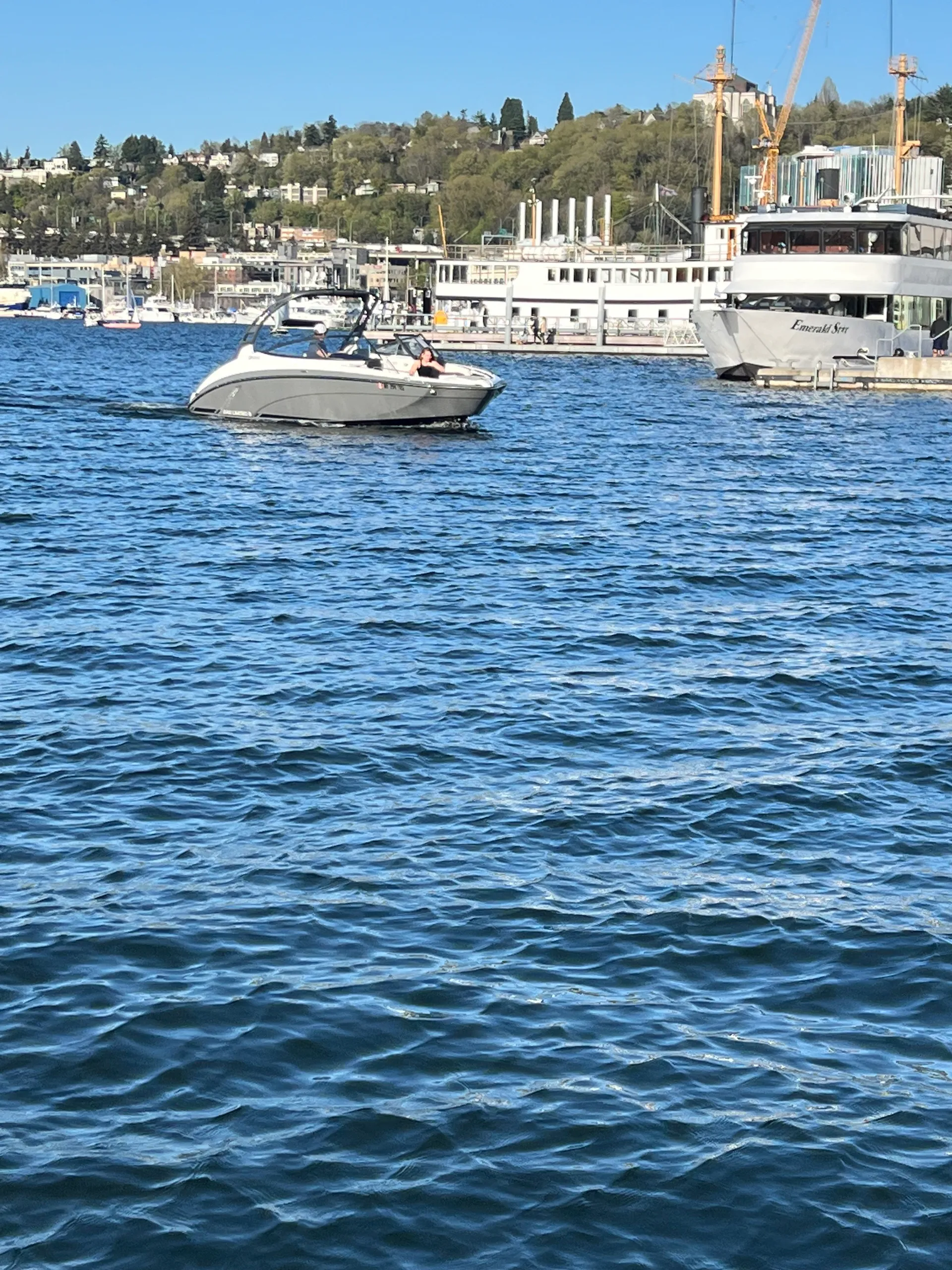 Yamaha 242 Limited S – Luxury Lake Fun | Tubing, Skiing & Cruising