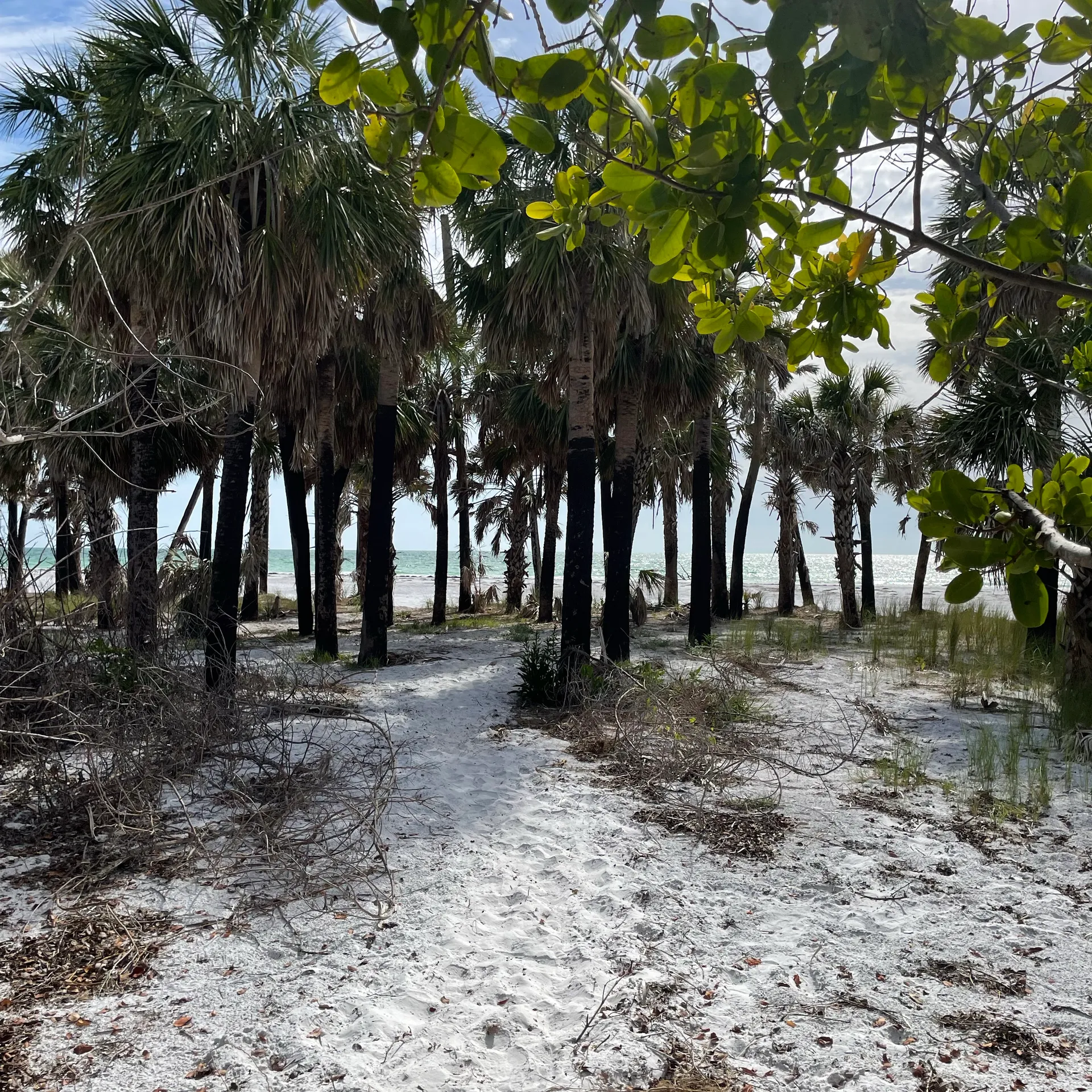 Regal OBX 24Ft Spacious, Fuel Included! Social Seating,No hidden Fees!