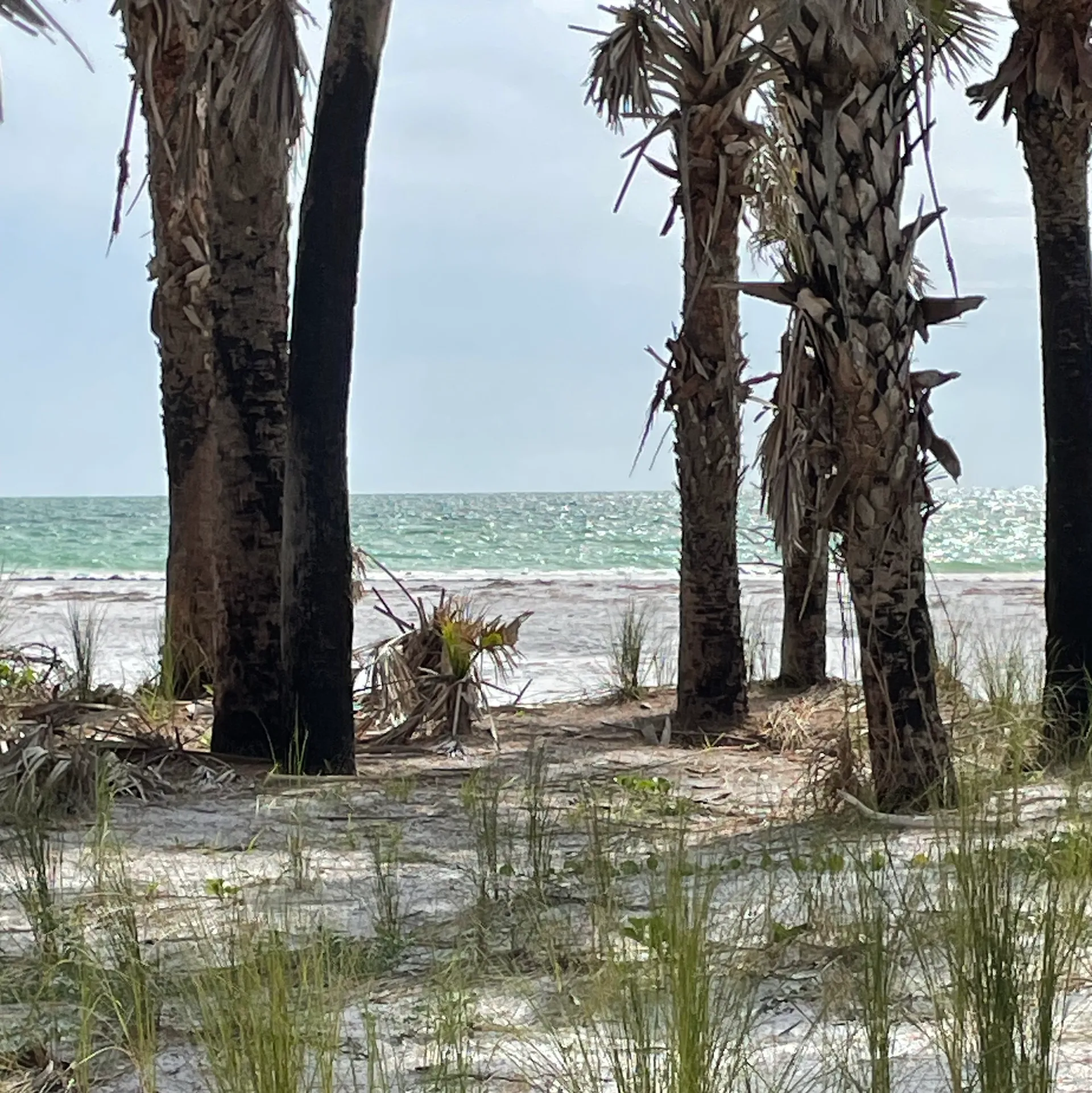 Regal OBX 24Ft Spacious, Fuel Included! Social Seating,No hidden Fees!