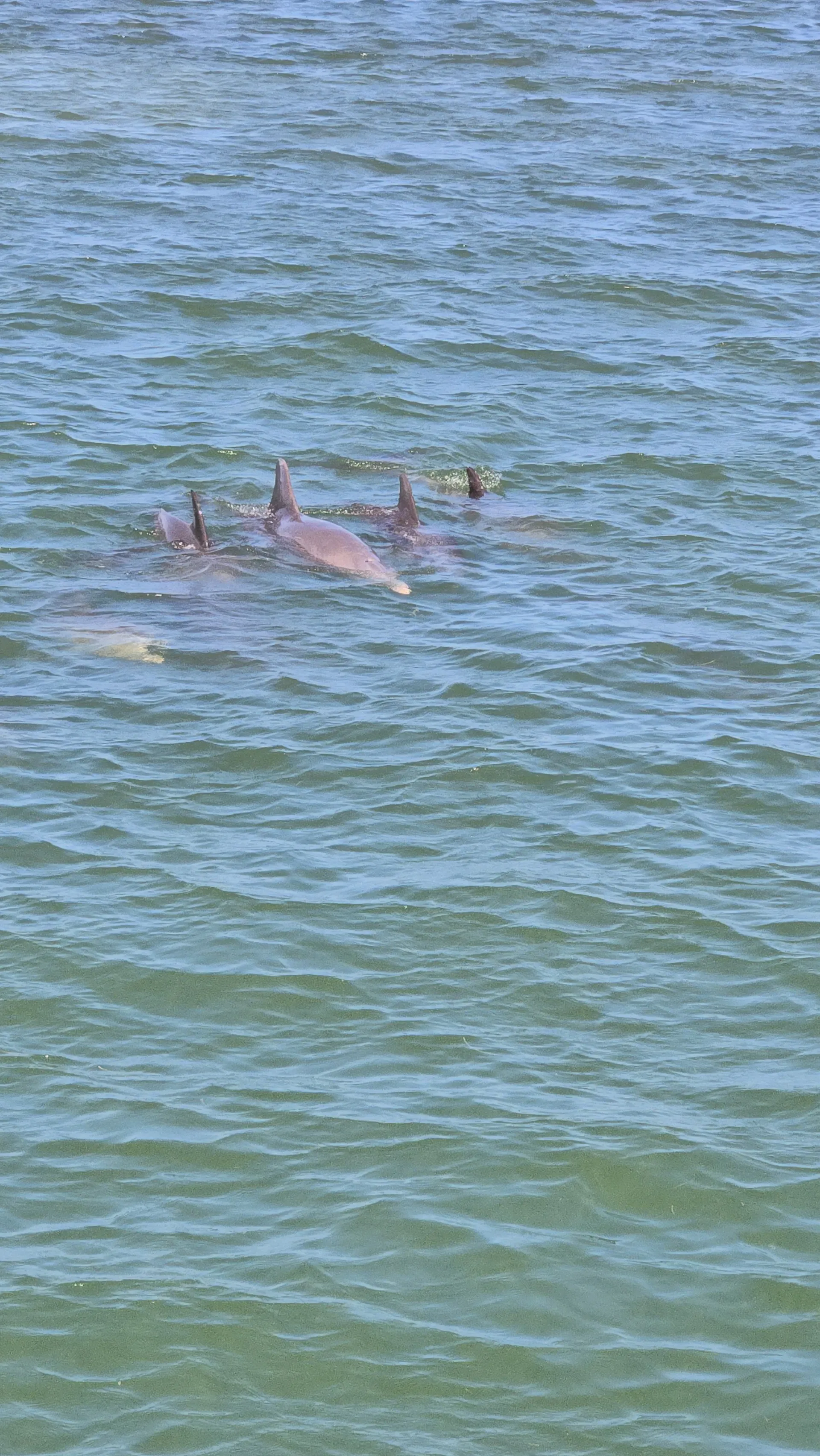 Vista Mar Miami Tour