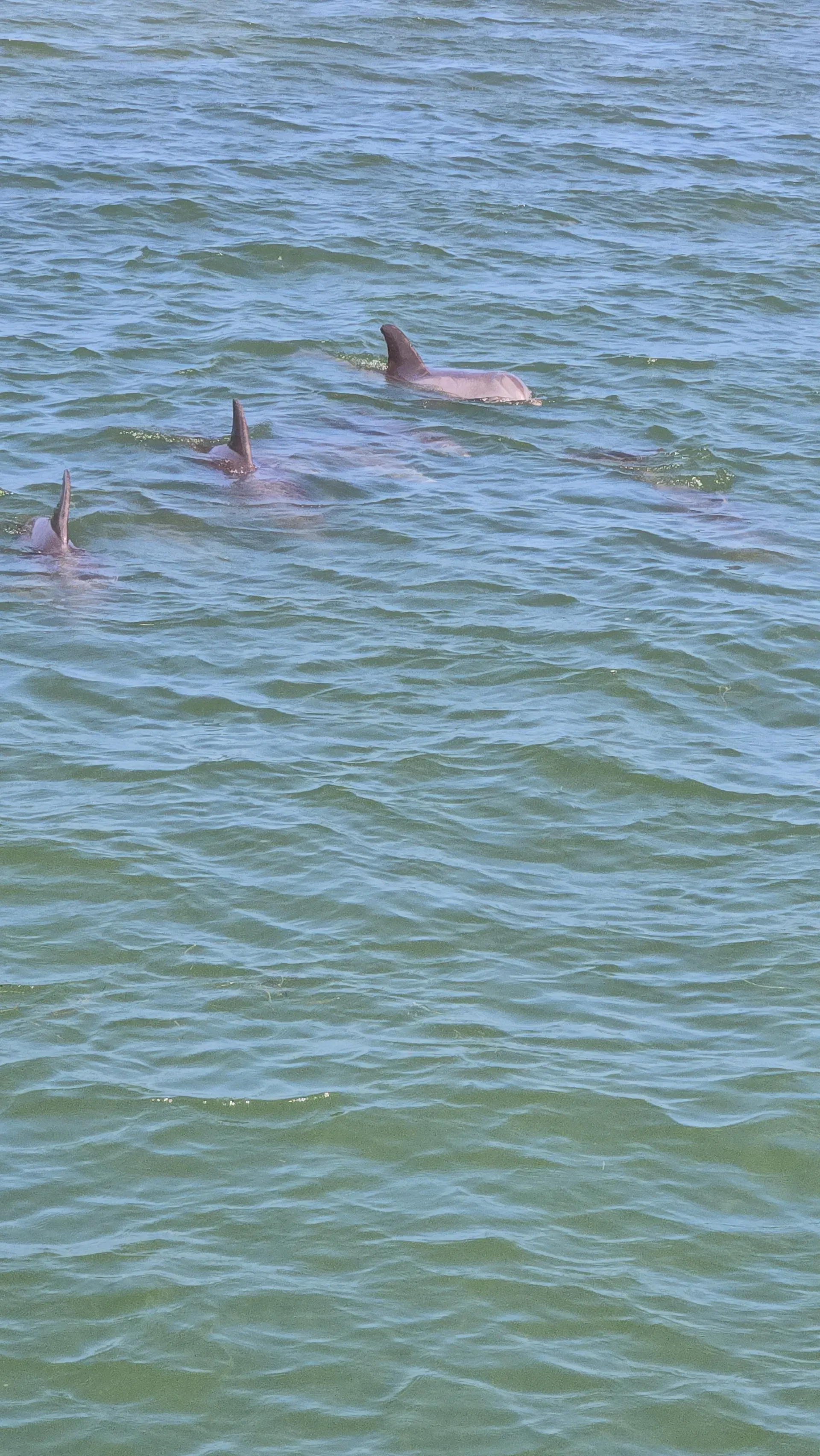 Vista Mar Miami Tour