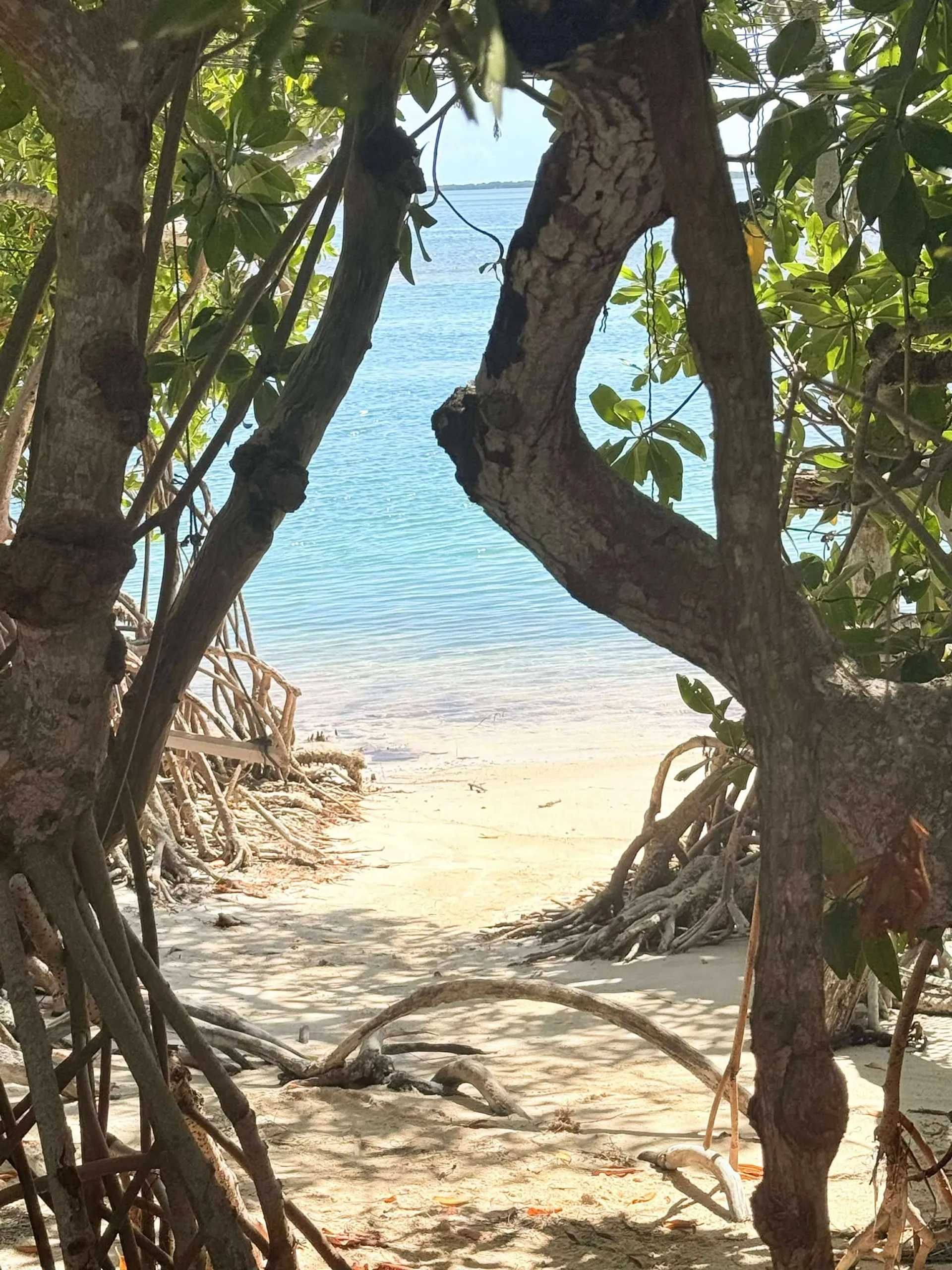 Making Memories Charters