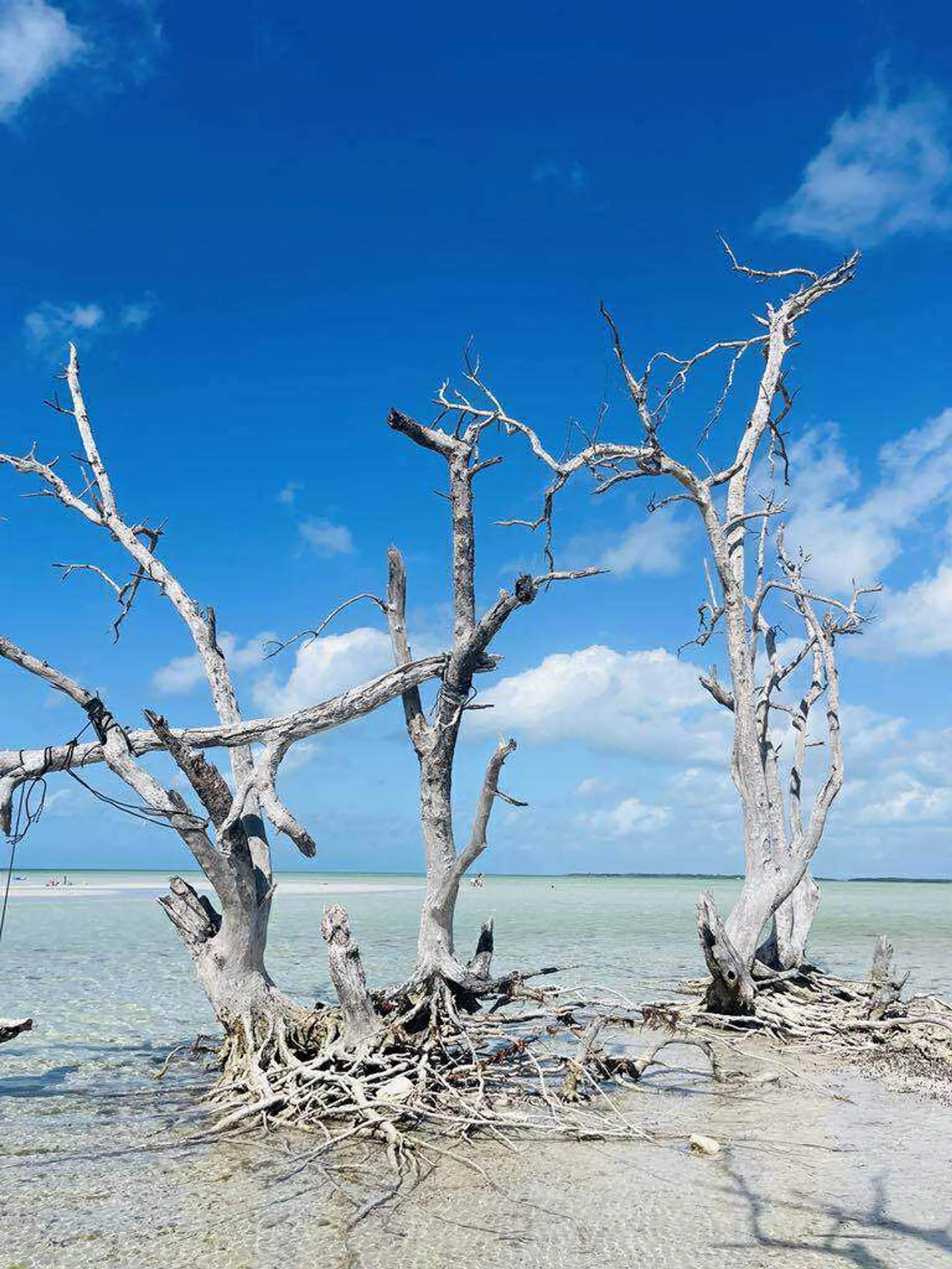 Making Memories Charters