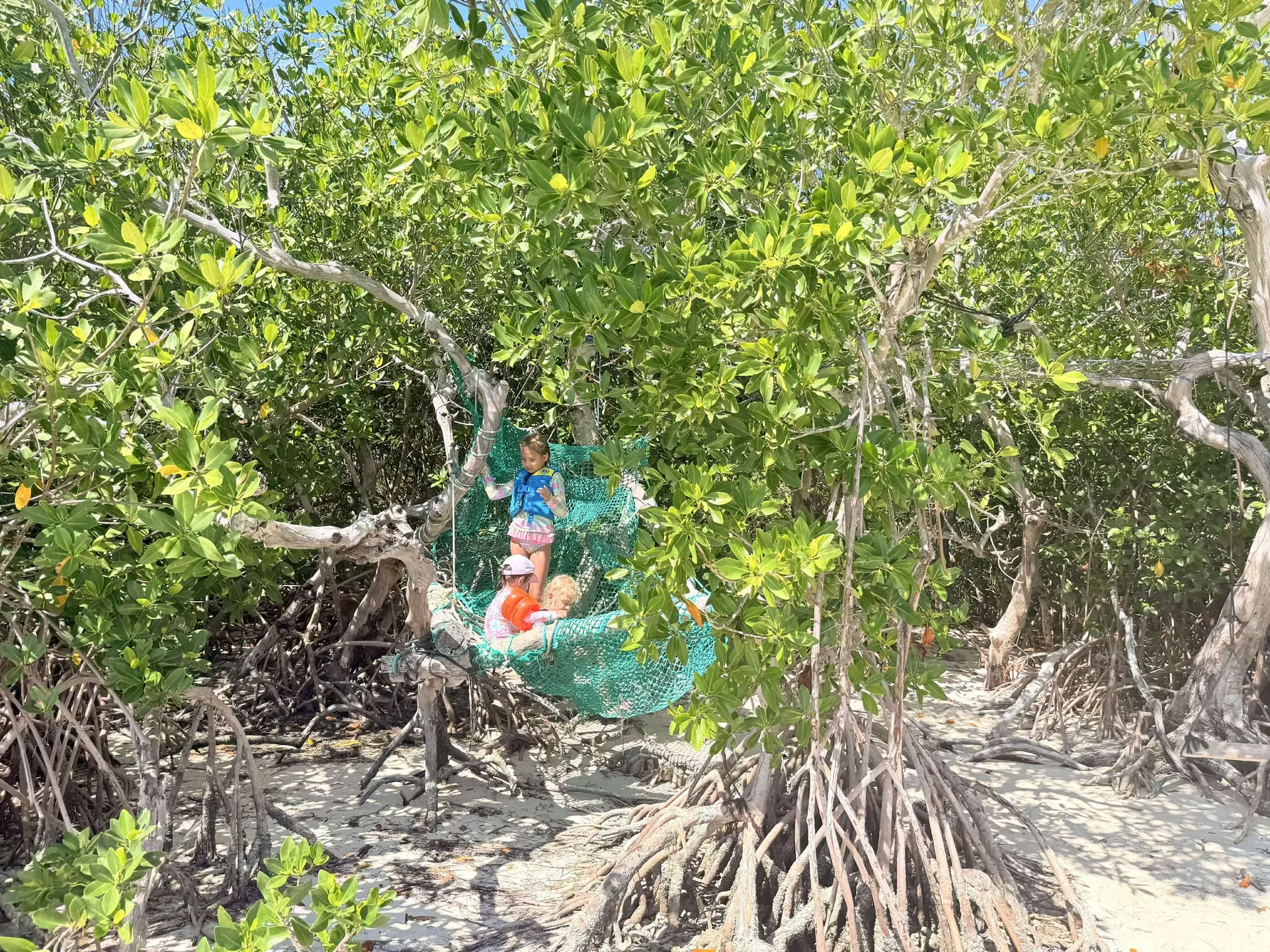 Making Memories Charters