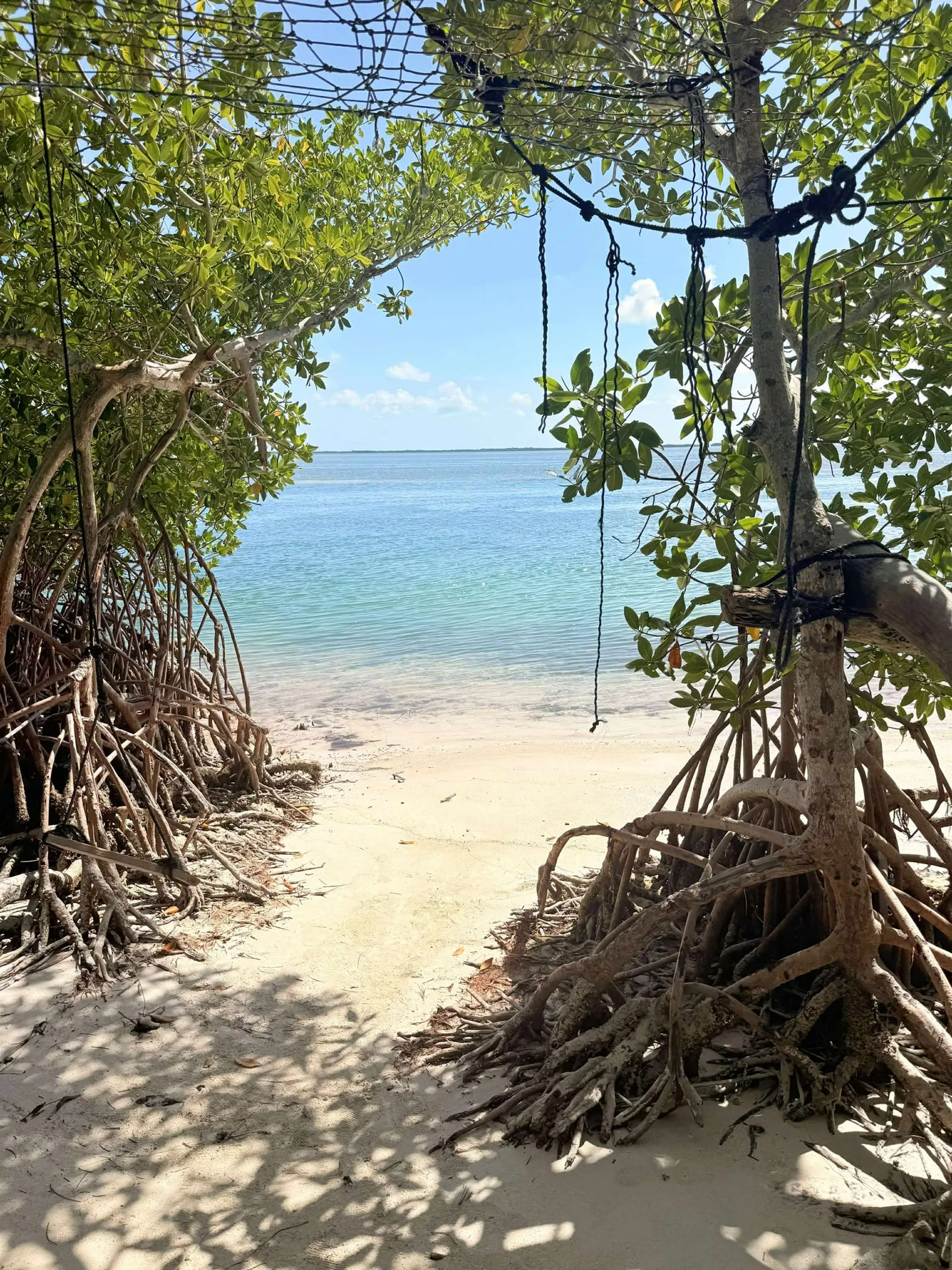 Making Memories Charters