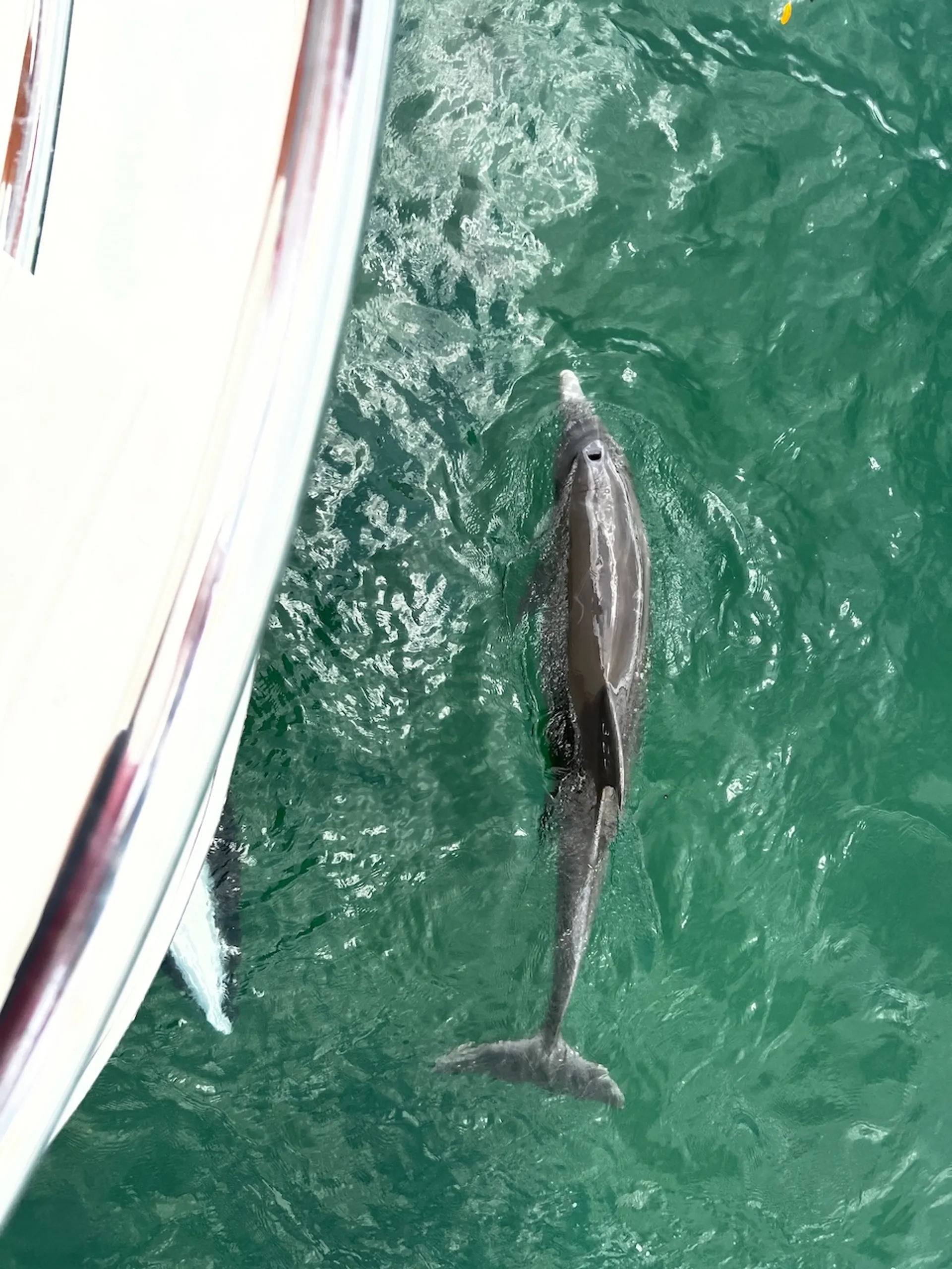 Memory Maker – Three-Level 50’ Yacht for Unforgettable Coastal Escapes