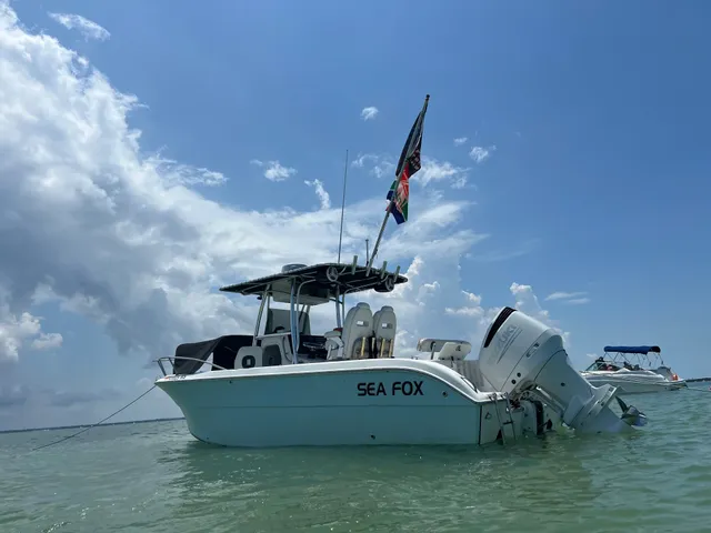 Rent a Sea Fox center console in Palm Harbor, FL near me