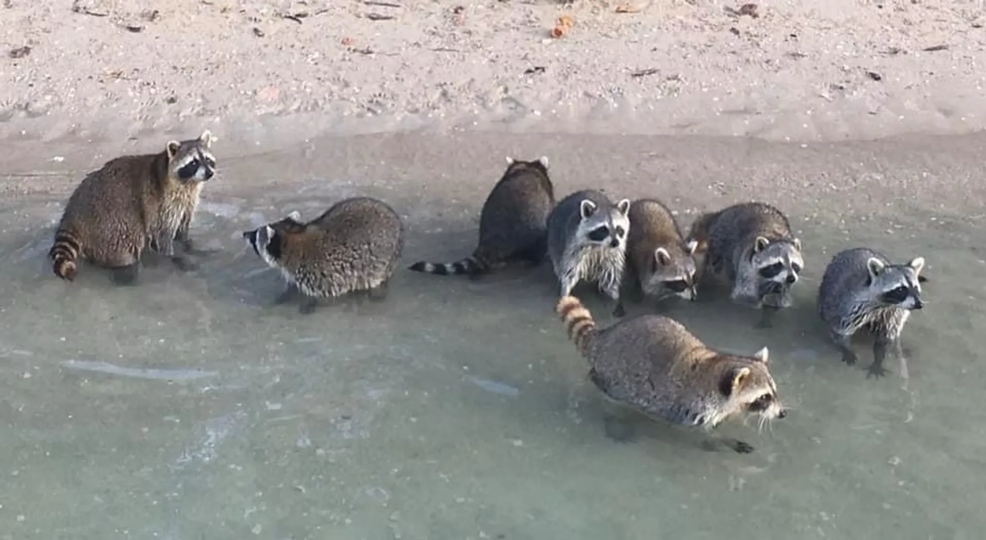 Day of Fun -In -The -Sun by Boat!