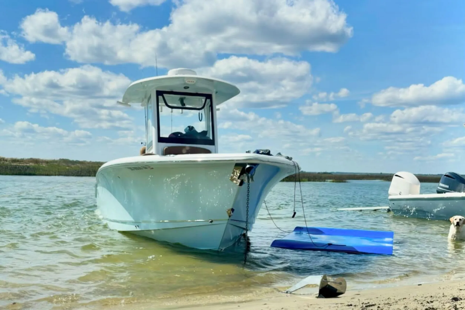 Sea Hunt Boats Ultra 265SE in Charleston, SC — photo 2