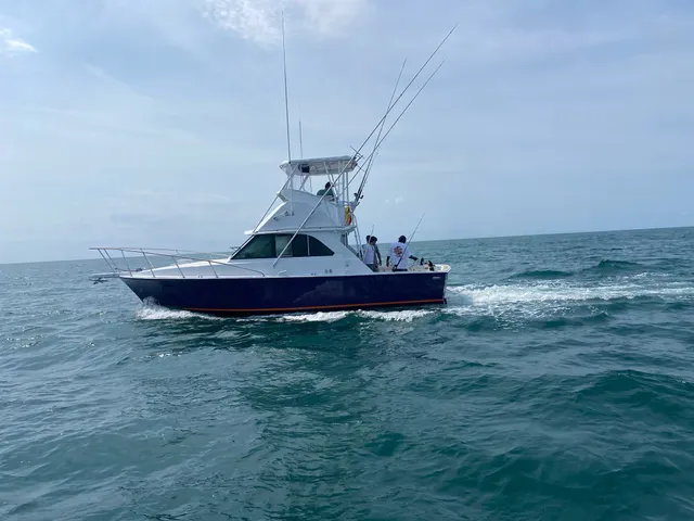 Rent a BERTRAM YACHT convertible in Carolina Beach, NC near me