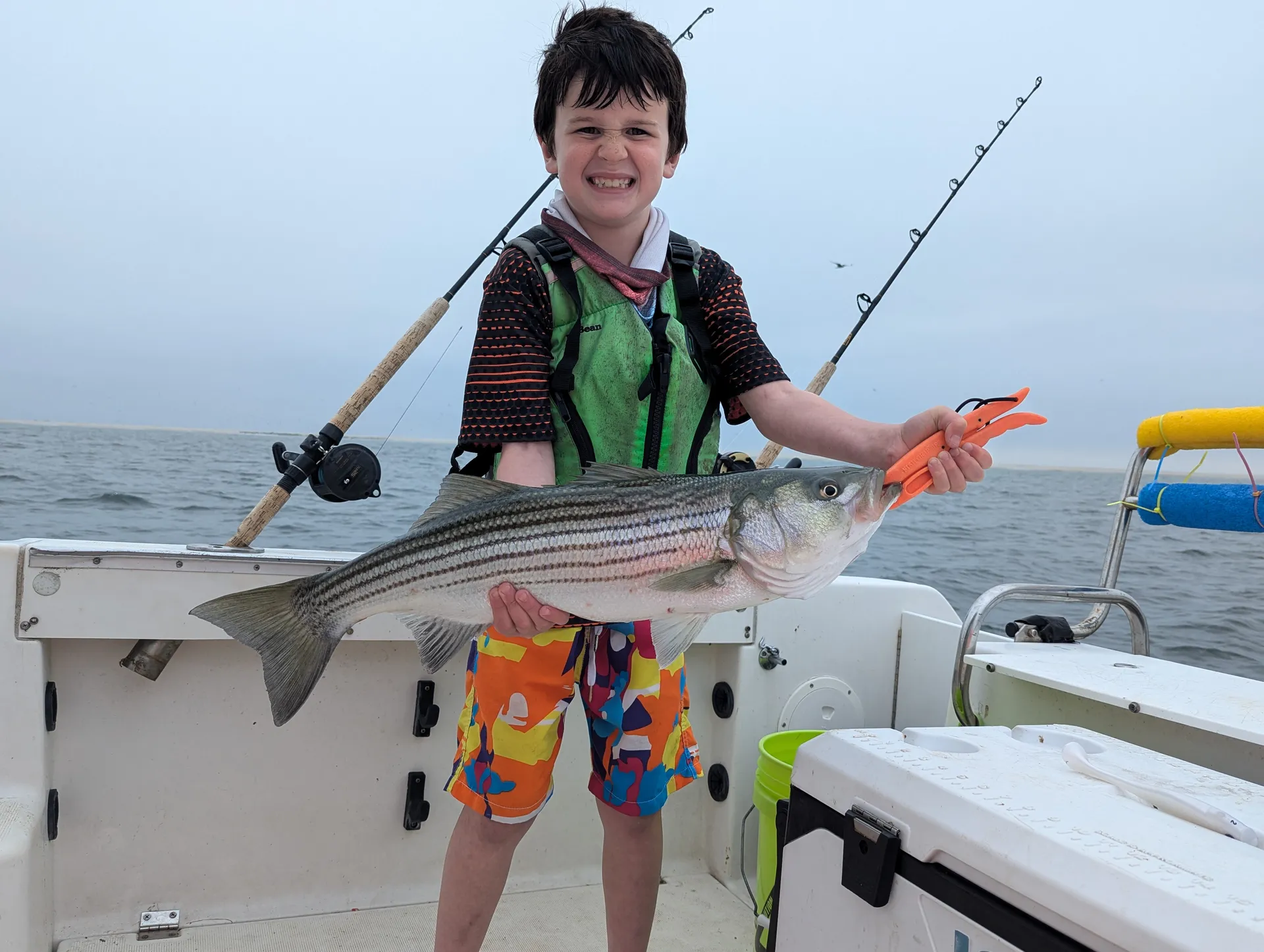 The Perfect All-Purpose Boat for families & friends (6 people MAX)