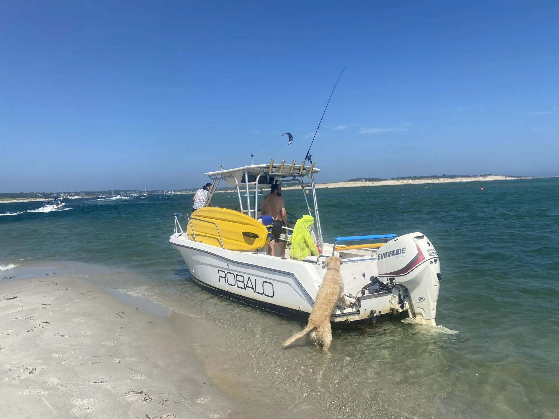 The Perfect All-Purpose Boat for families & friends (6 people MAX)