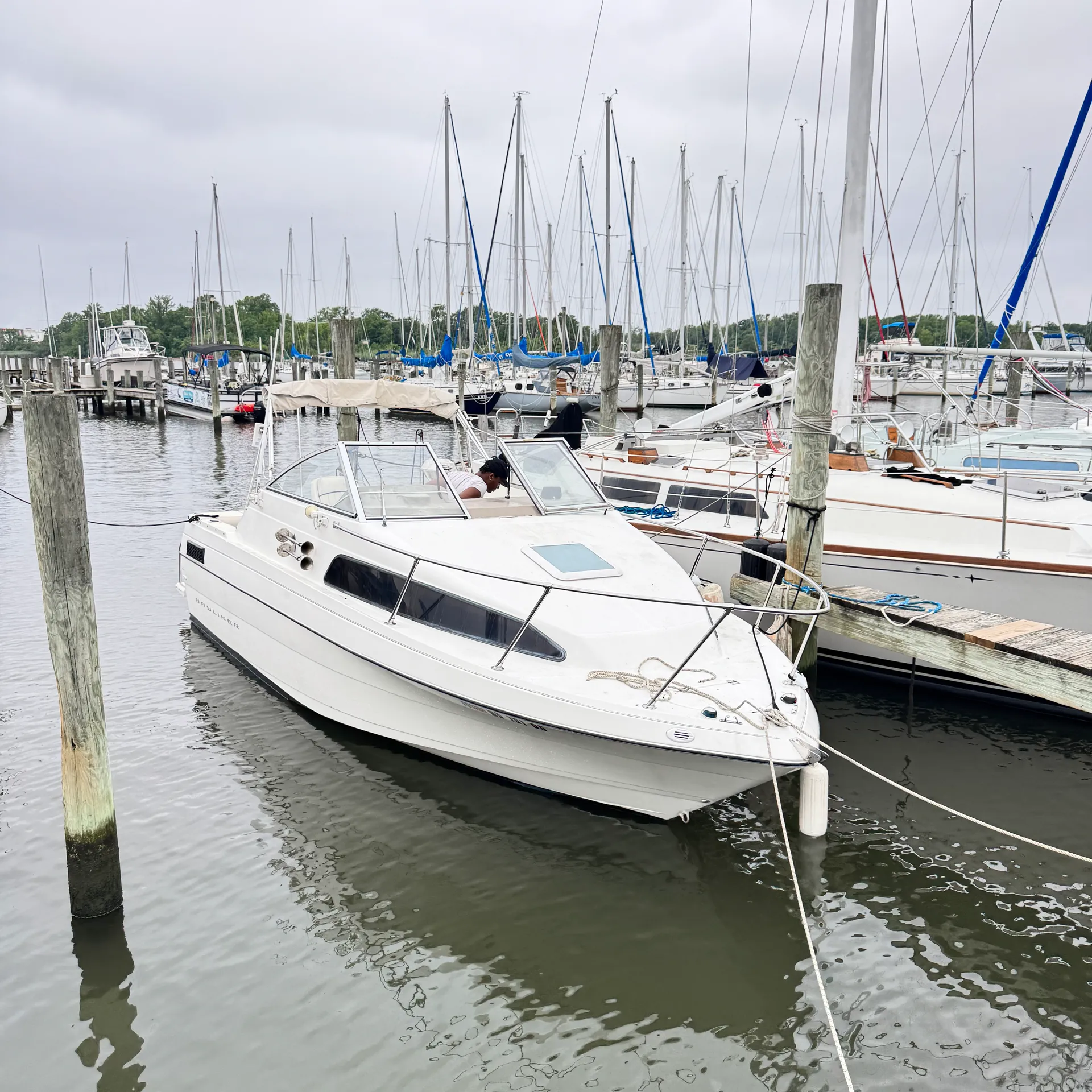 BAYLINER 2252 CLASSIC CRUISER in Sparrows Point, MD — photo 3