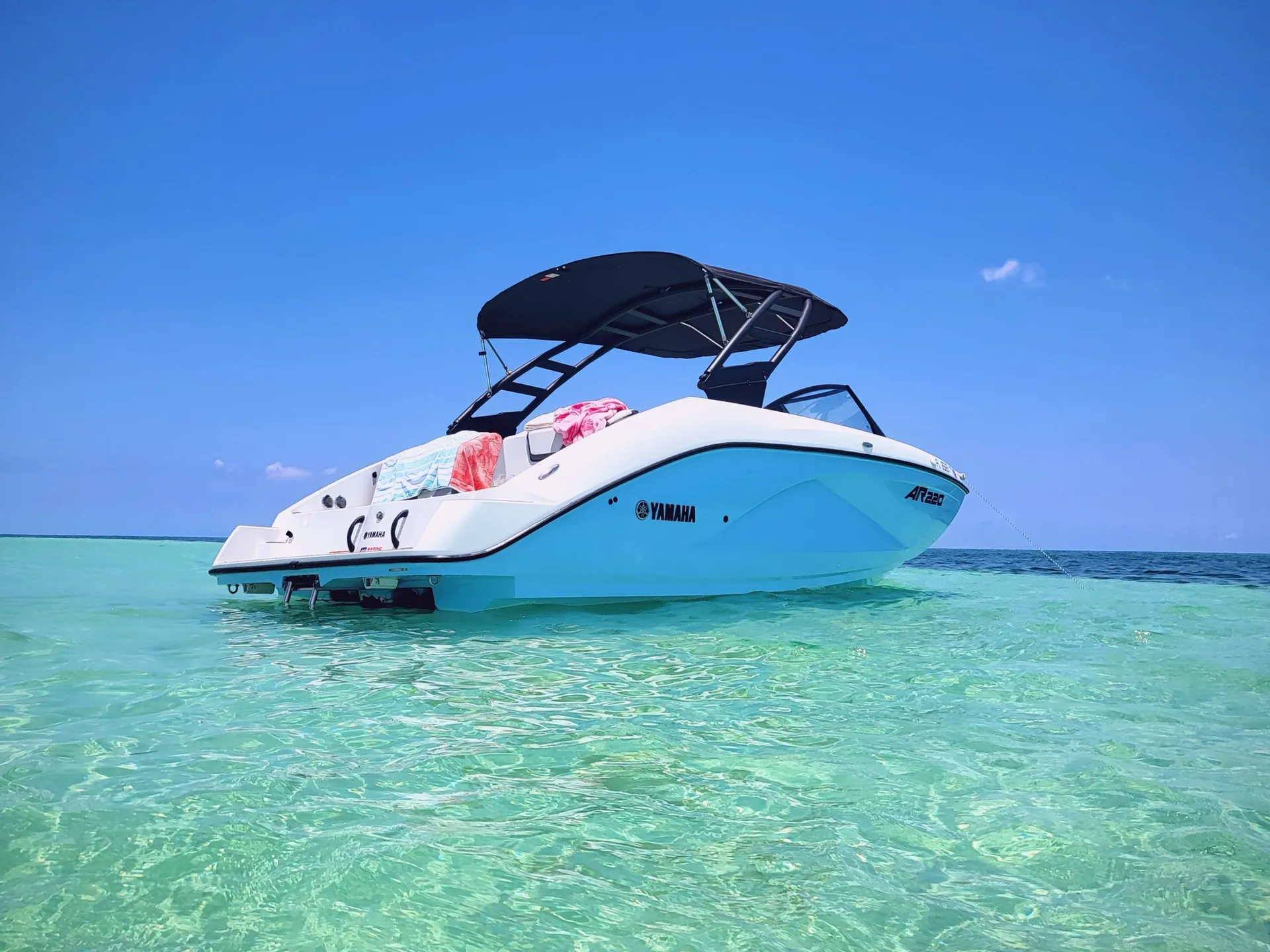 YAMAHA AR220 in Shalimar, FL — photo 2