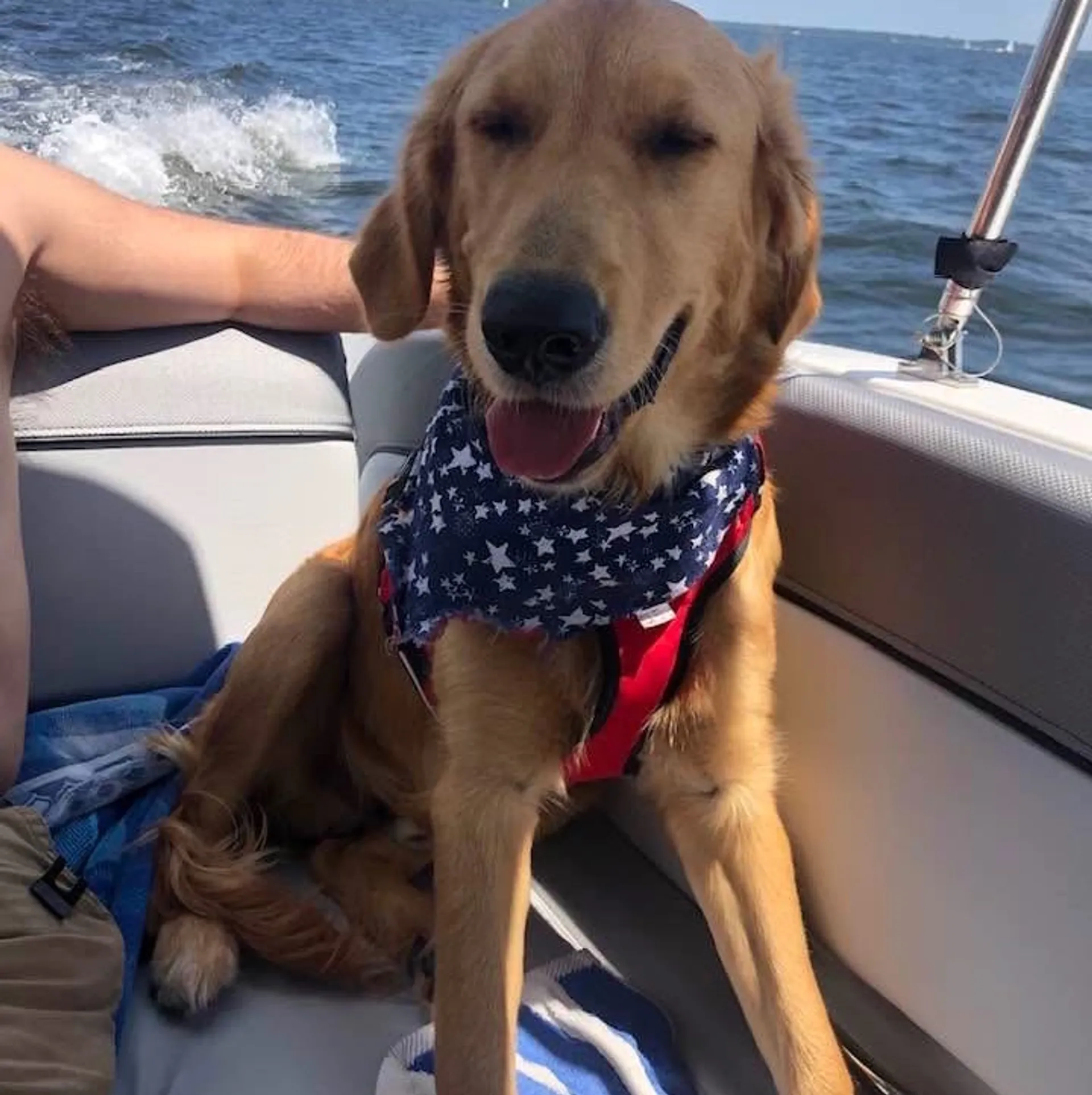 BAYLINER DX2200 in Warwick, RI — photo 4