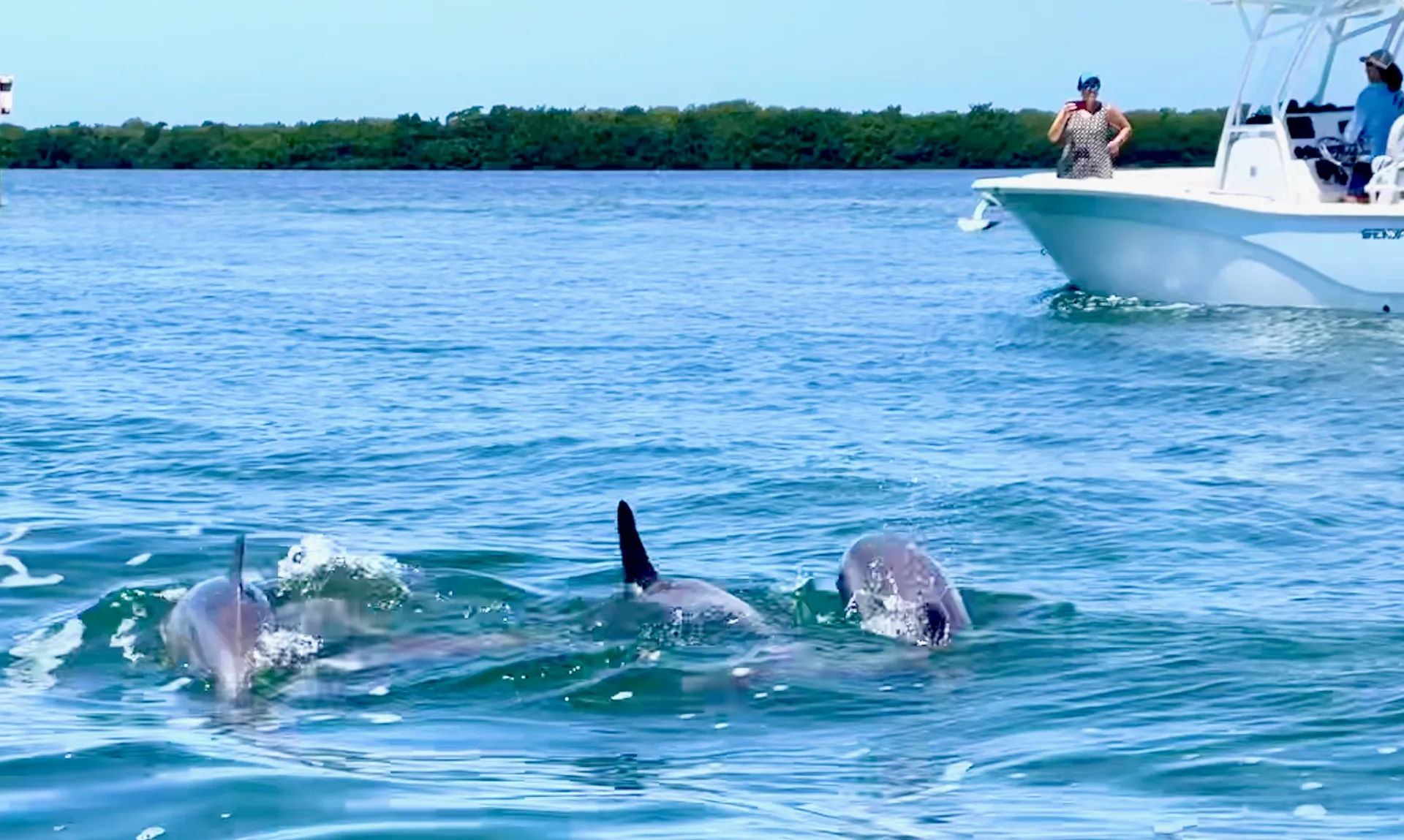 🚤 Sun Tracker Party Barge 24 DLX | The Ultimate Anna Maria Island Exp