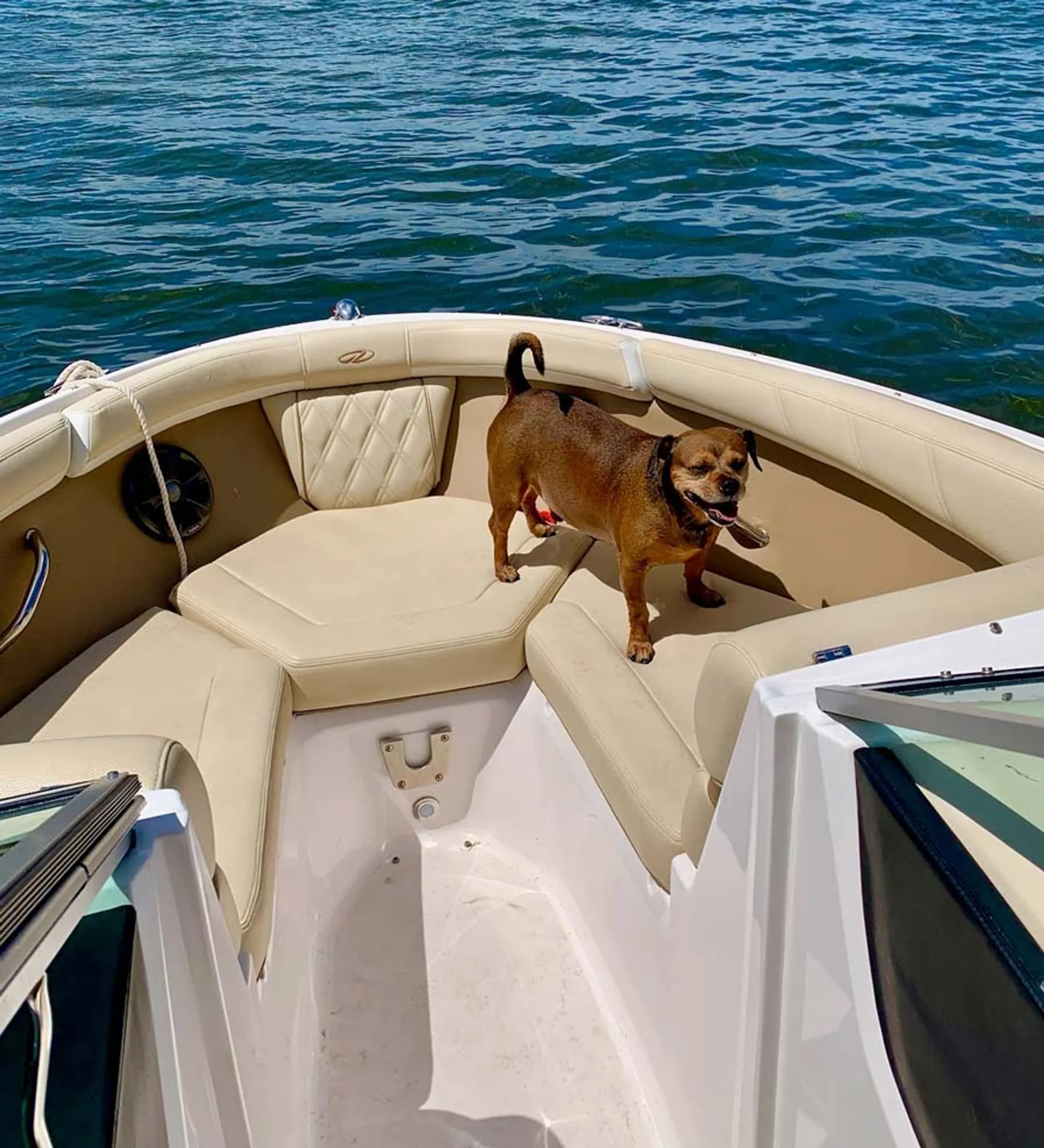 Immaculate and Spacious 21ft Regal OBX Bow Rider 