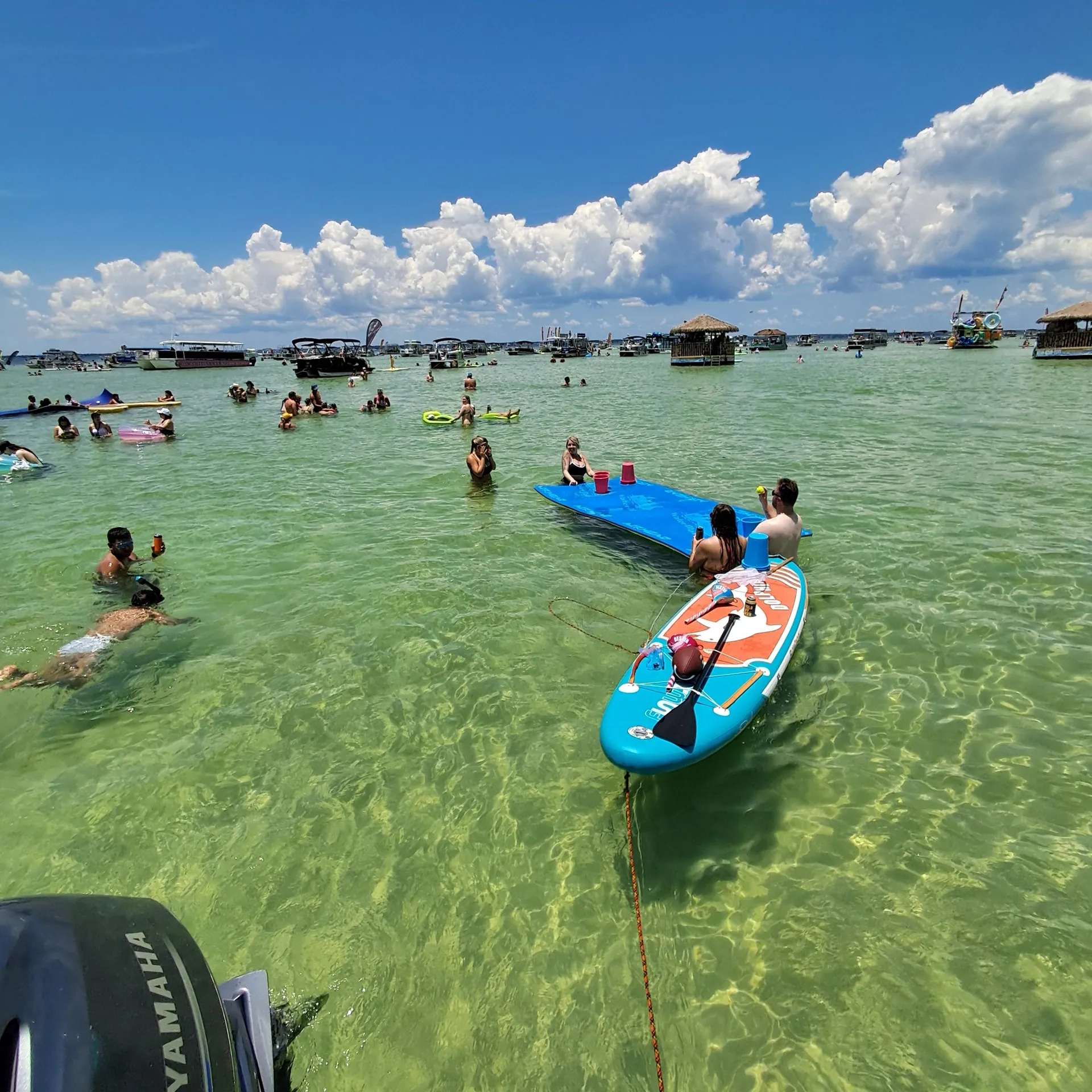 Crab Island Trips and Boat Tours