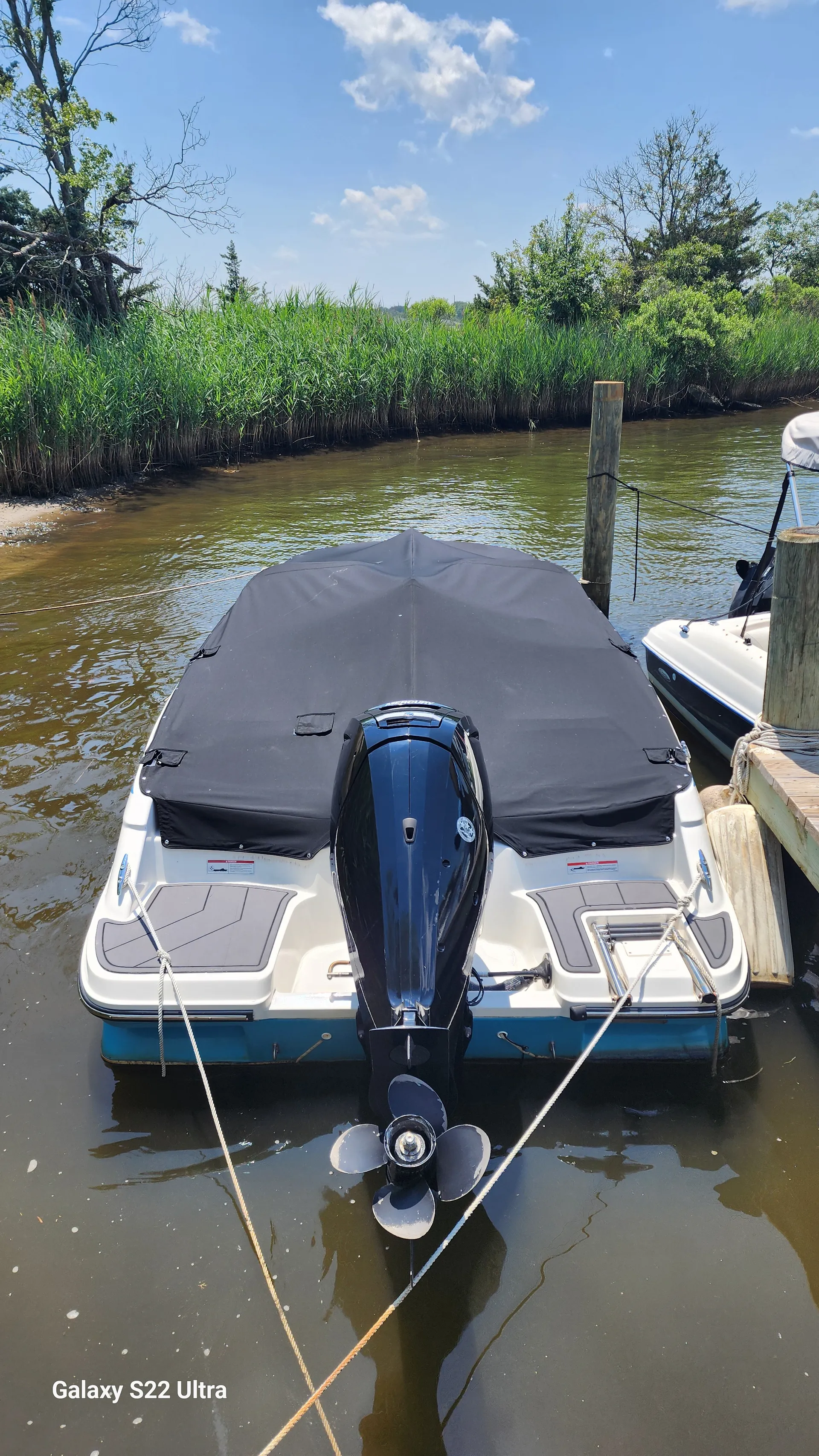2023 Bayliner Element m17