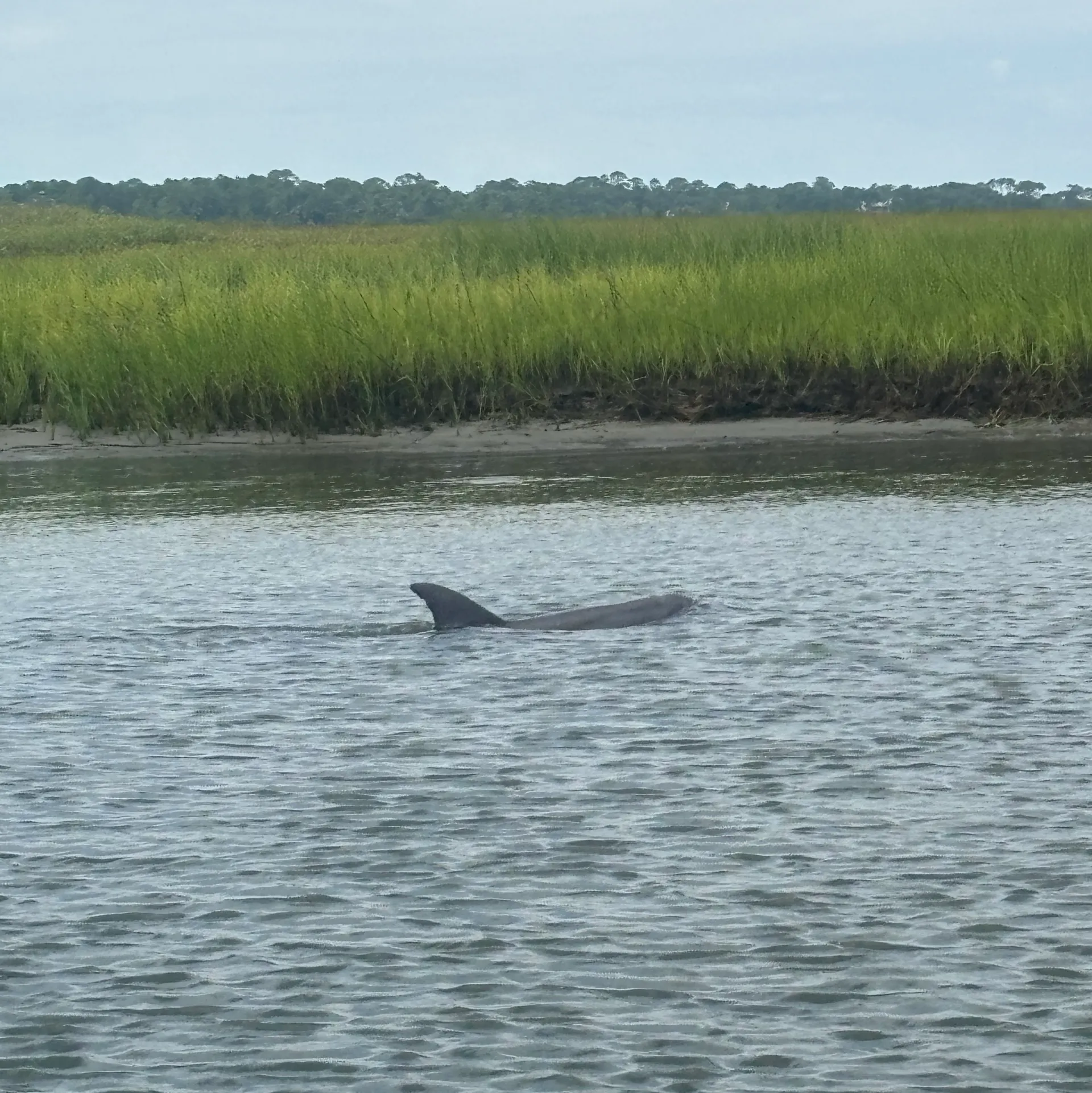 Luxury Private Charter- Cruise, Party, Bachelorette 