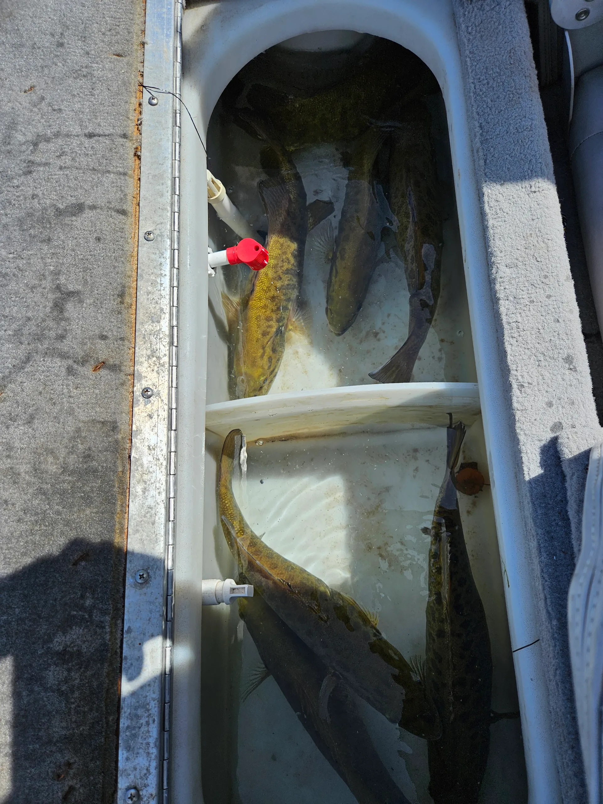 2008 Smokercraft 18ft Aluminum Bassboat- with 24VDC Ultrex and Sonar