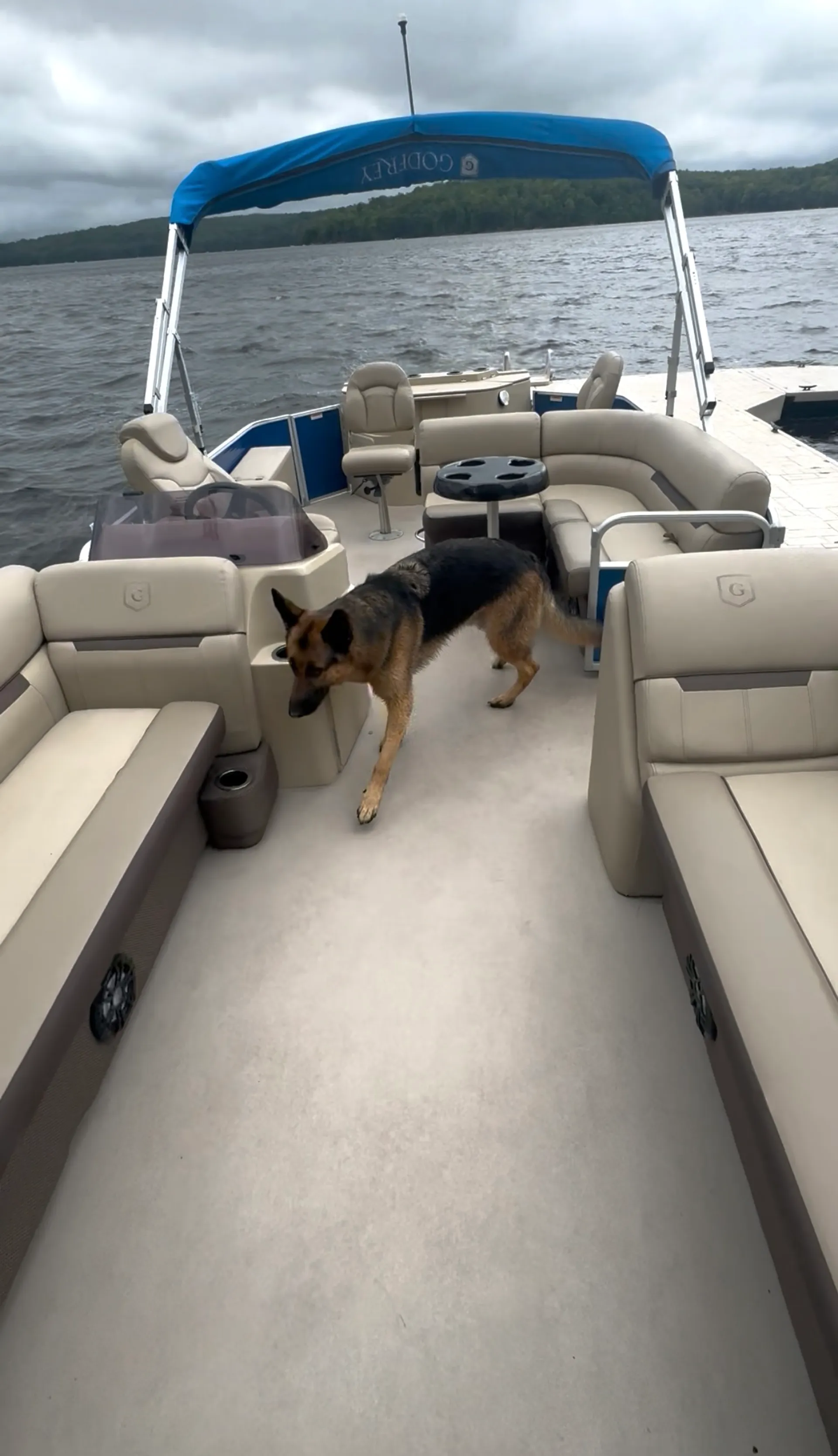 Pontoon Lounge/Fish/Tube/Ski