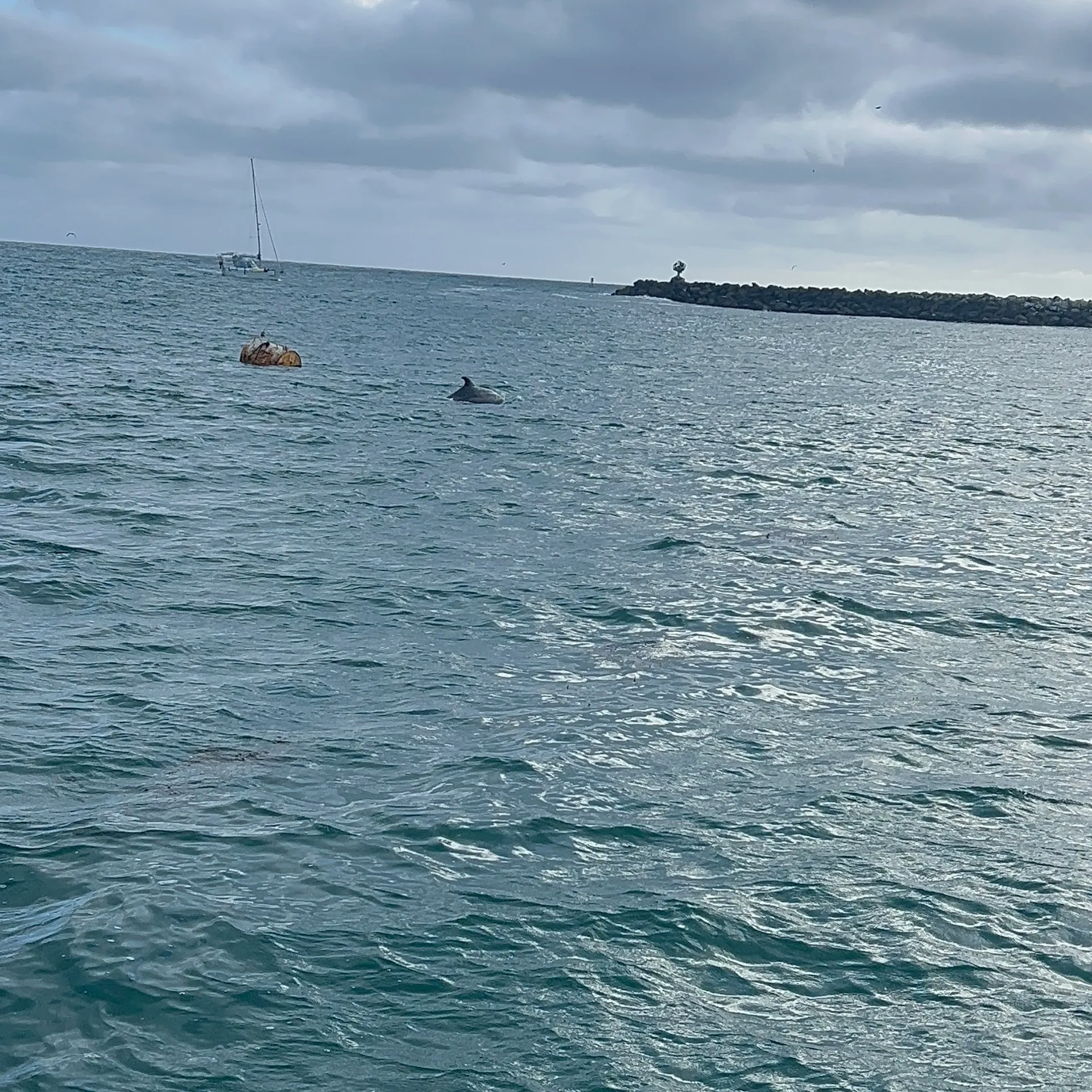 Sail in style on Deja Blue our 36 foot Hunter Yatch 🐬⛵️