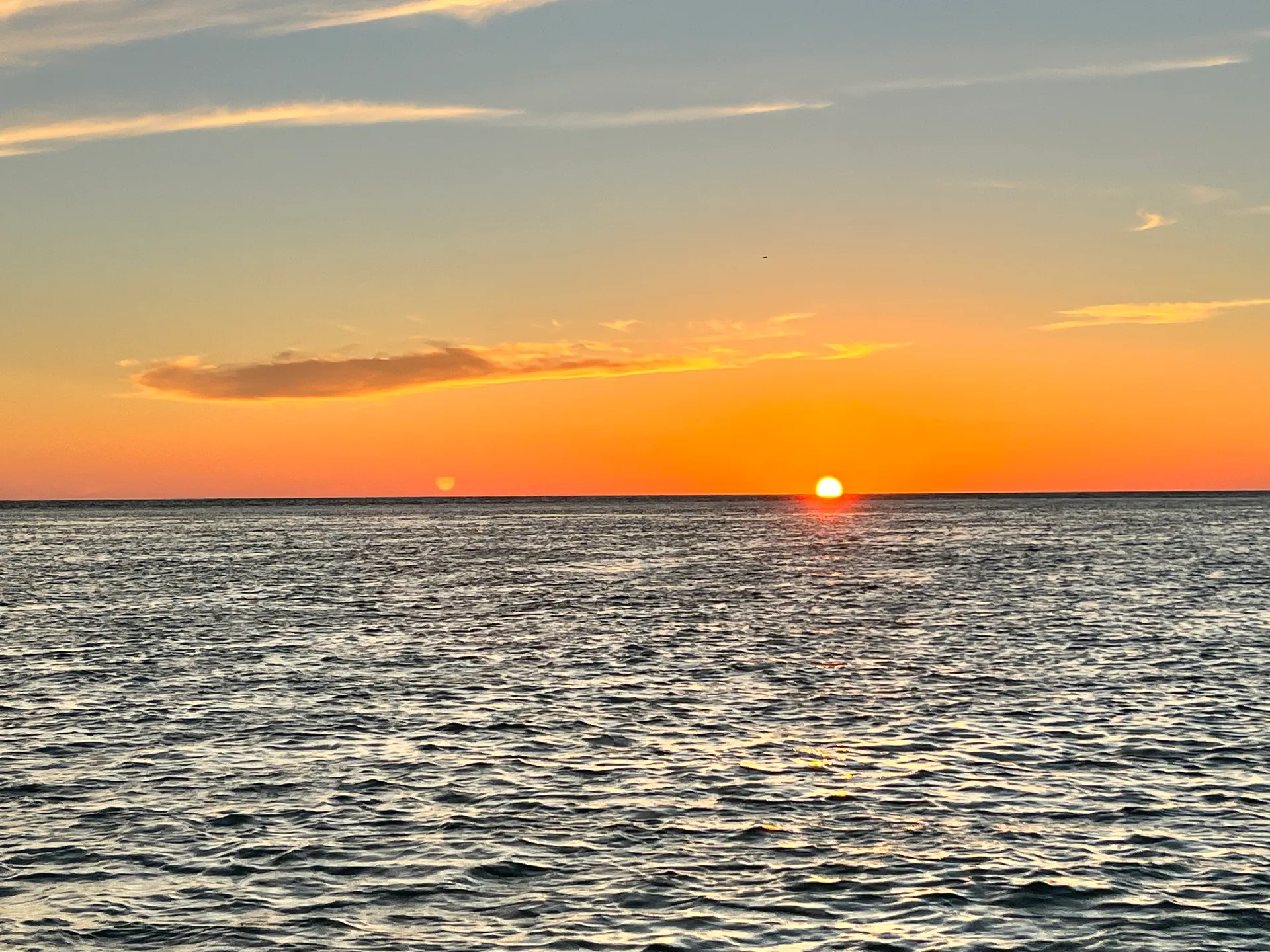 Sarasota Coastal Boat Tours on a brand new 2024 Seahunt Ultra