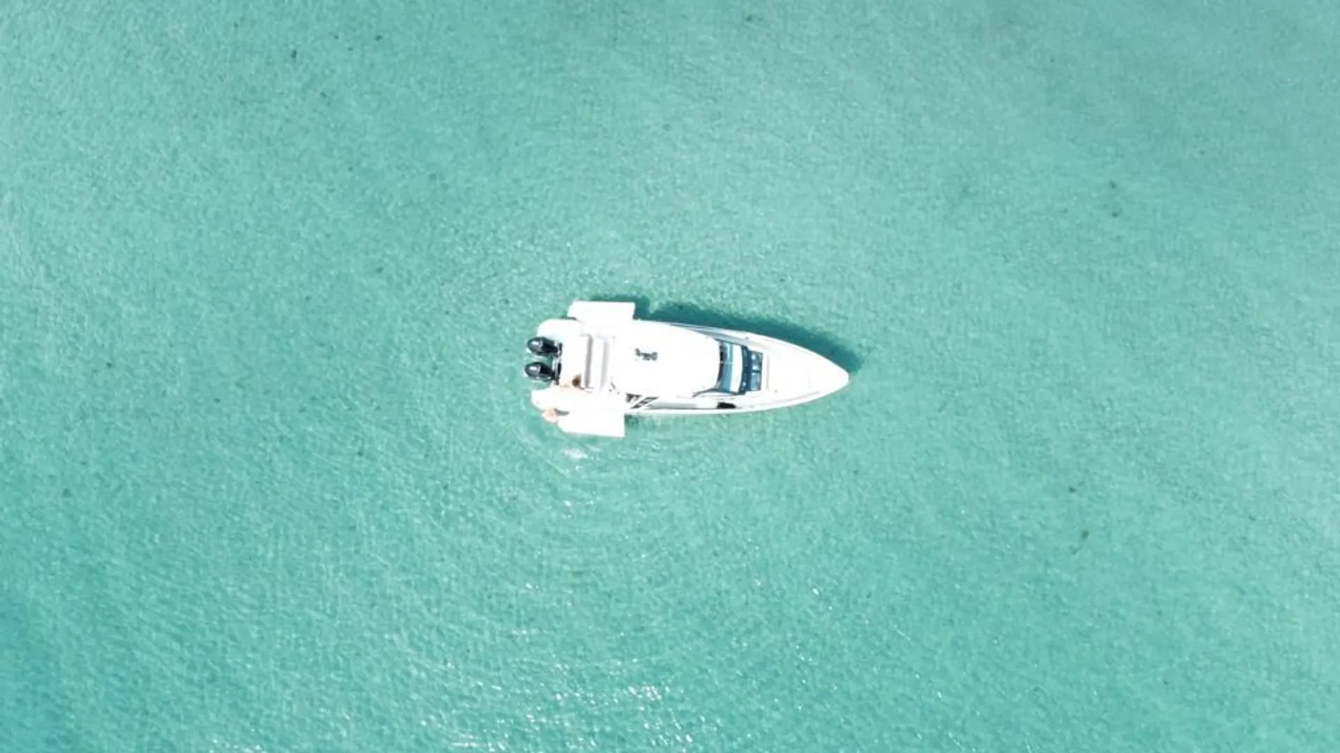 Palm Beach Luxury Cruises