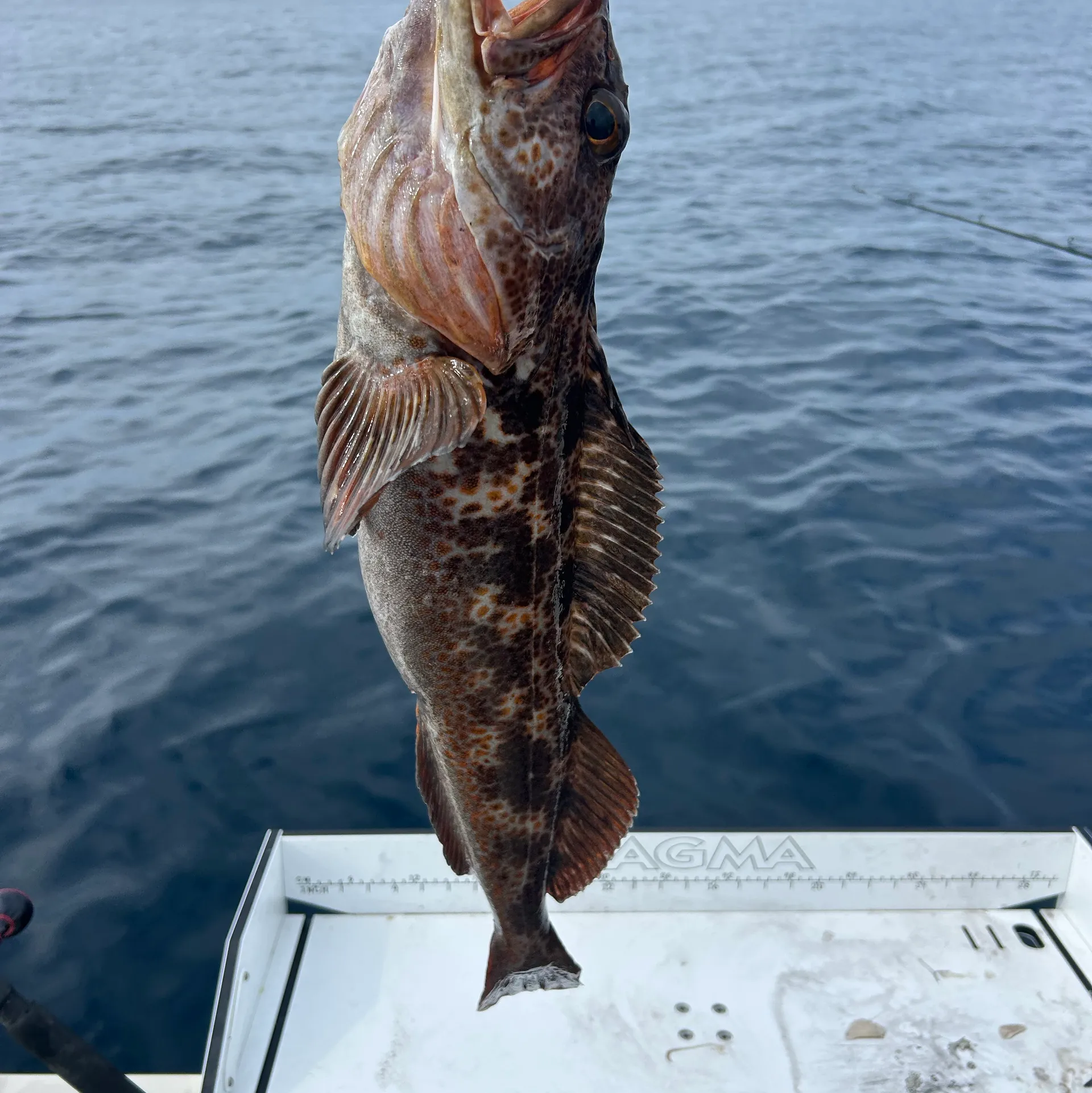 2022 Defiance Admiral, Friendly Fishing Adventures with "El Pescador"