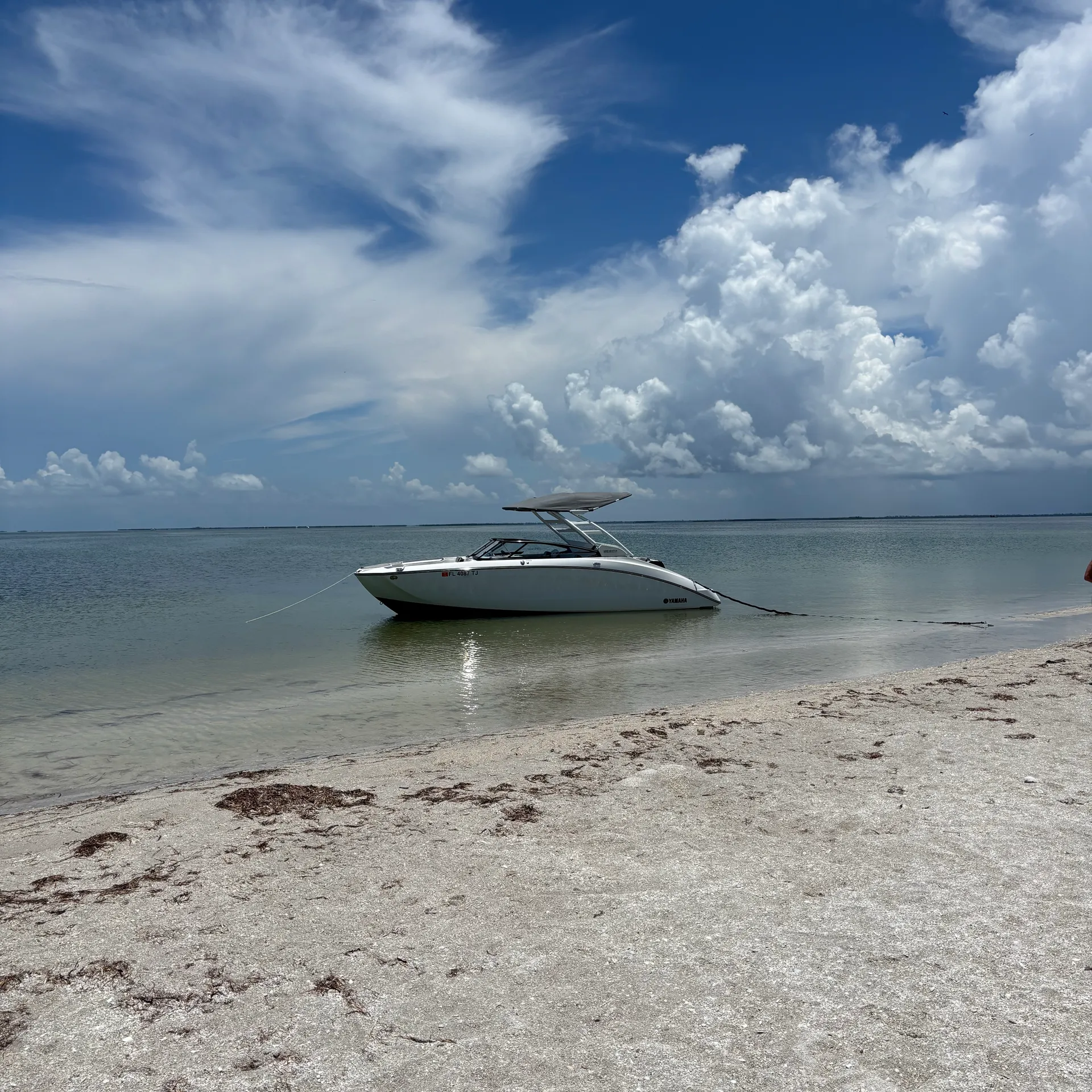 Boating in Pure Luxury