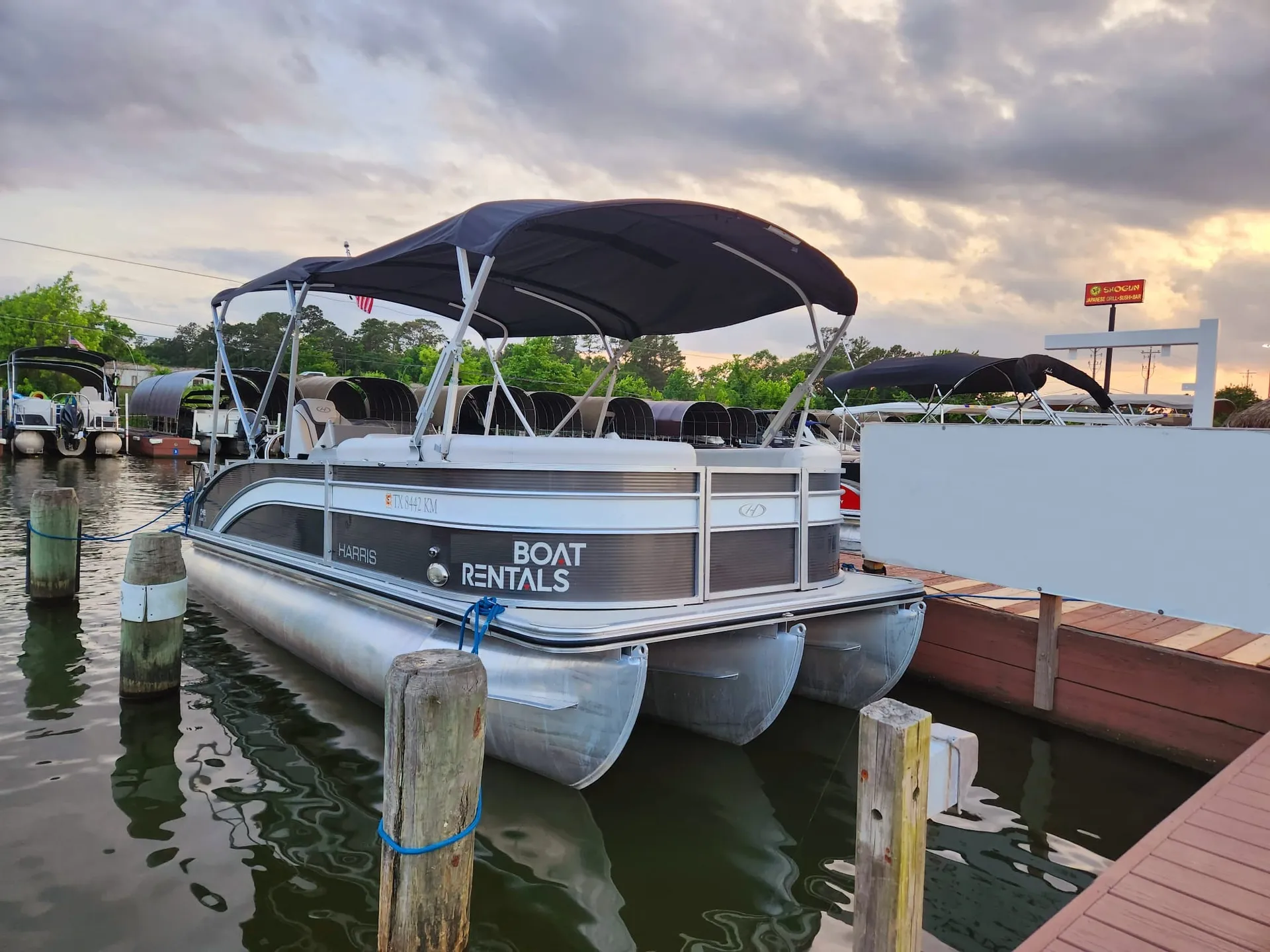 Harris Cruiser 230 Tritoon - Chib