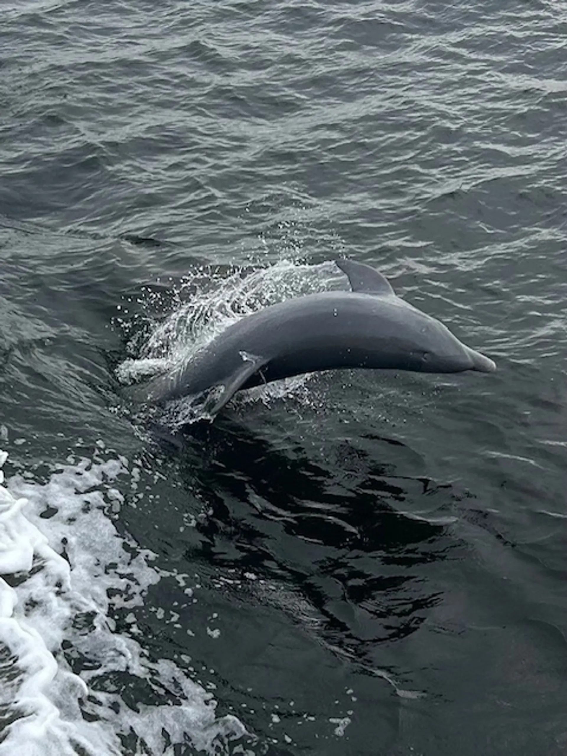 Luxury Cruising in Style and Comfort