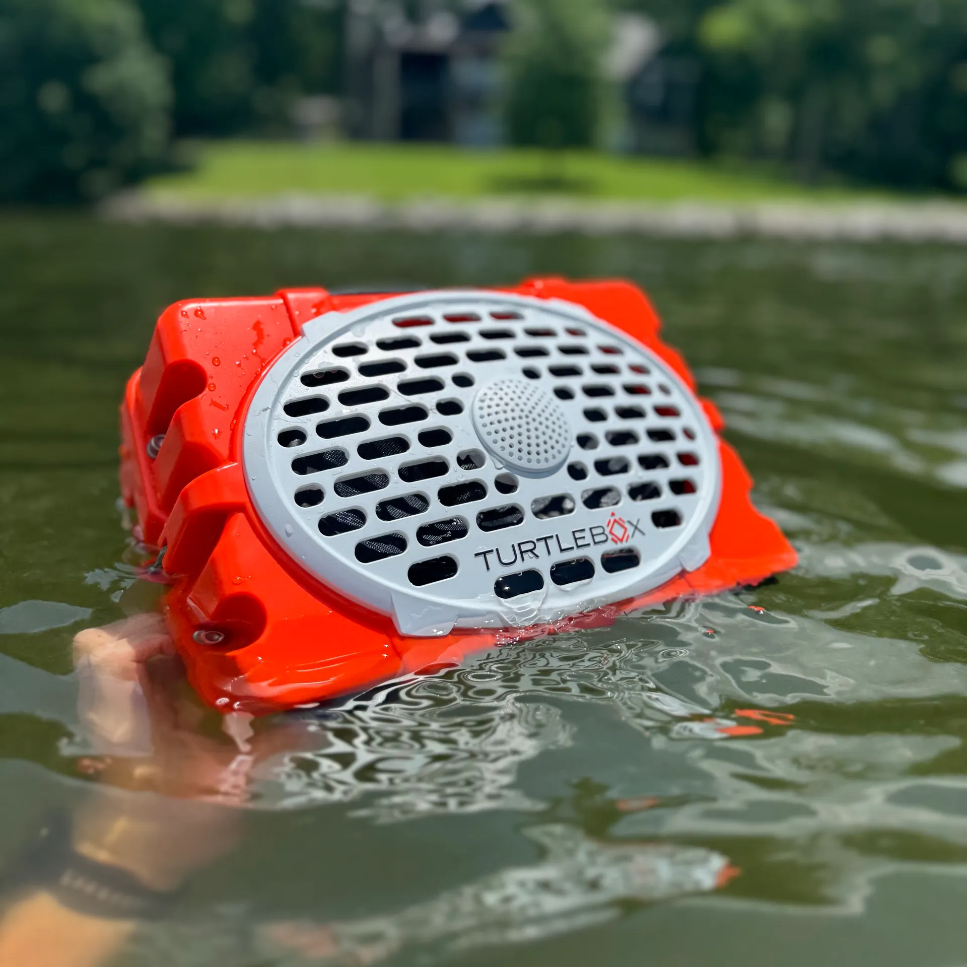 2025 Yamaha AR220 | Super Owner • Best of 2025 Award