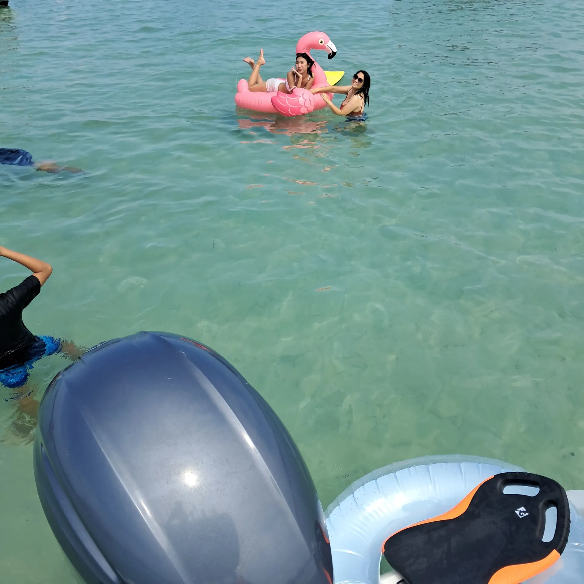 Crab Island Trips and Boat Tours