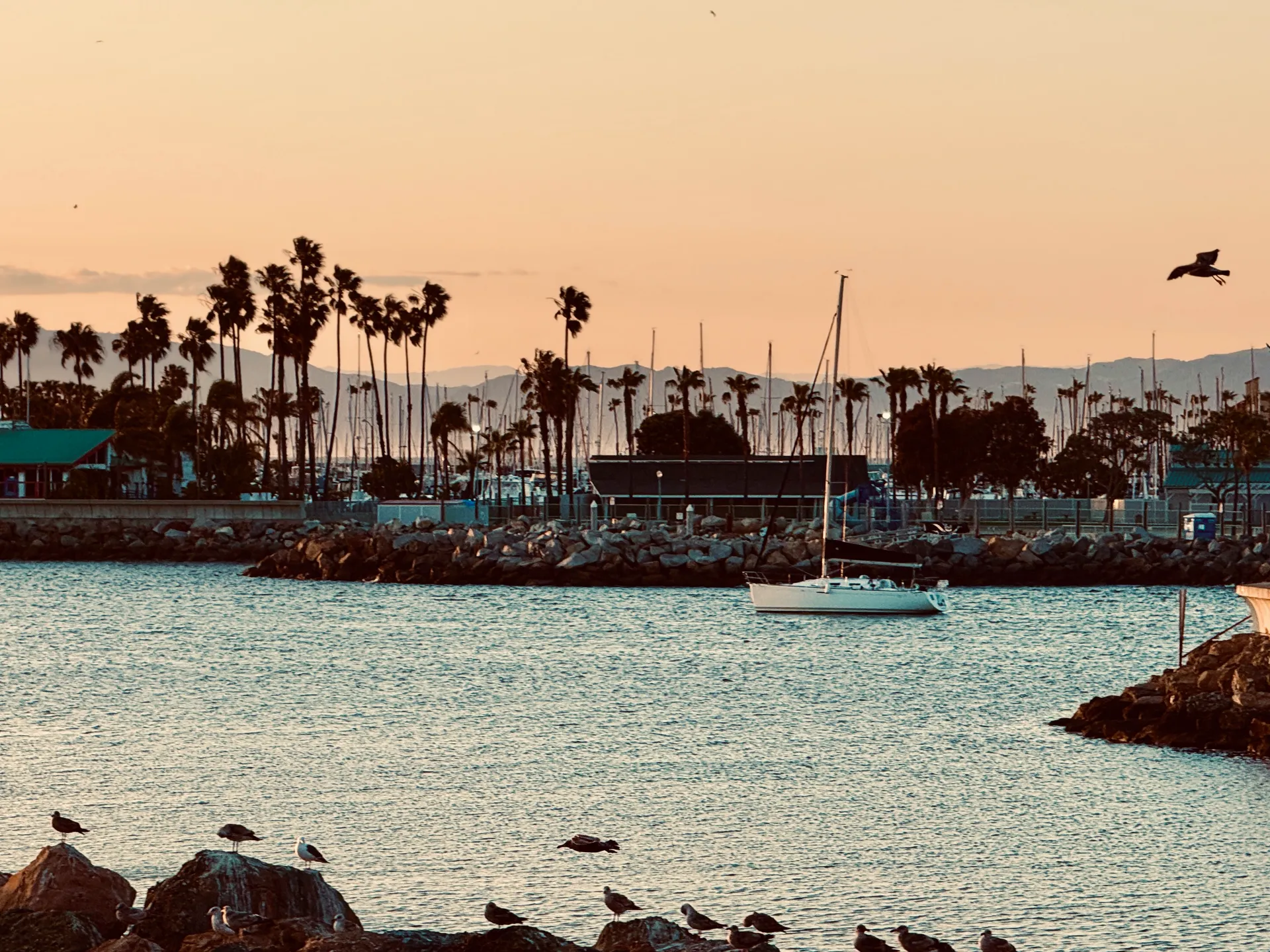 Final Fantasy Adventures!
Beneteau 36’