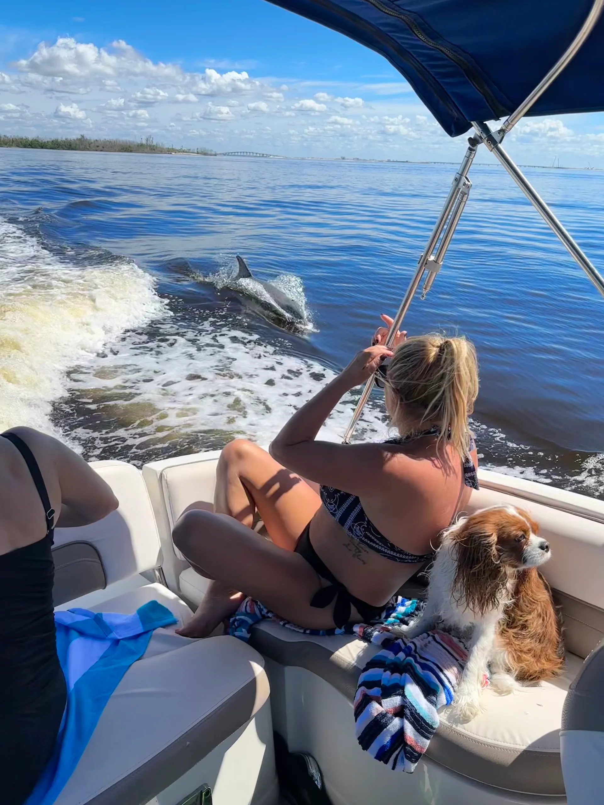 NAUTICSTAR BOATS 243 DC W/F300XCA in Cape Coral, FL — photo 8