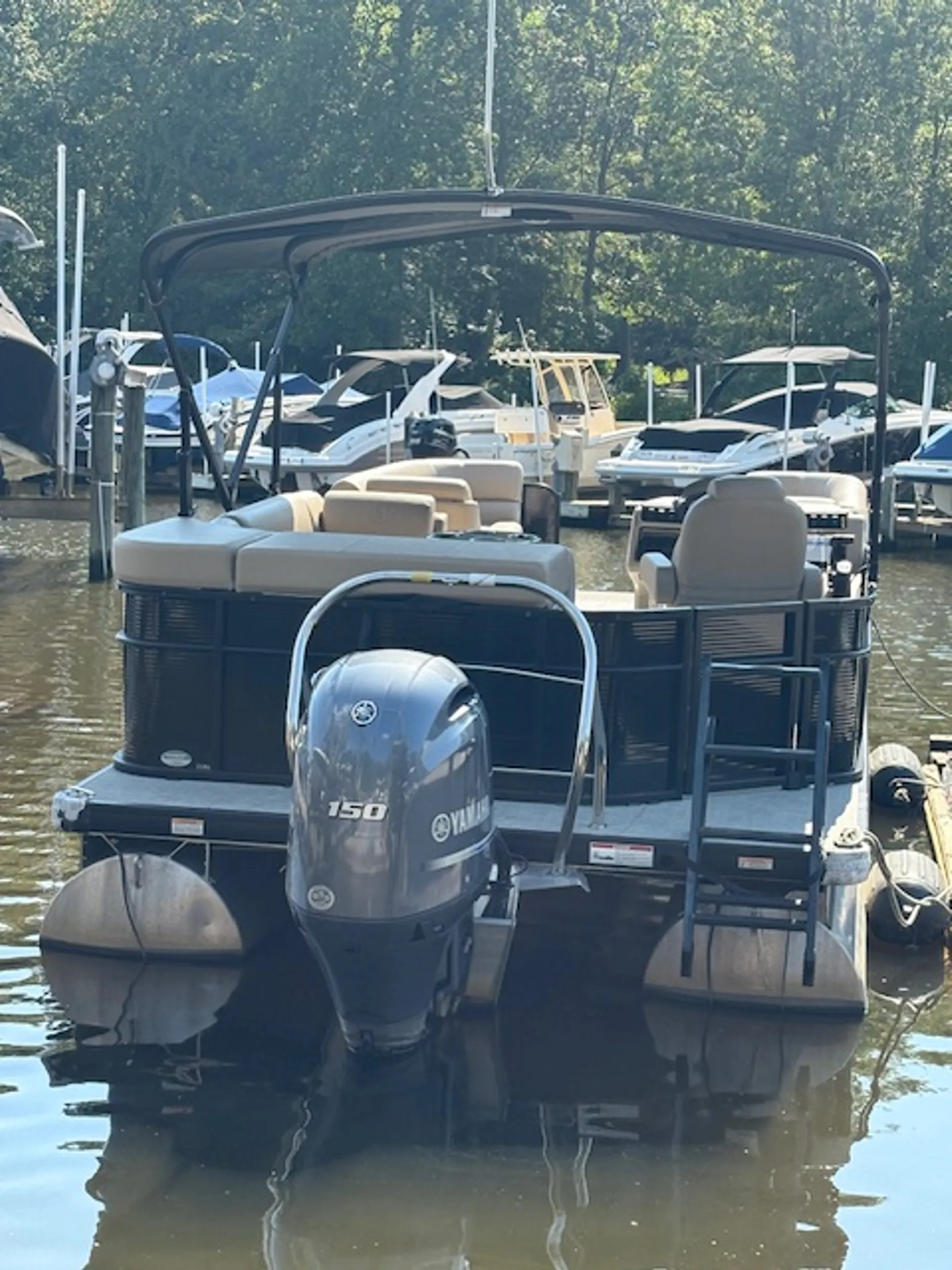 Black Godfrey Sweetwater Tritoon 